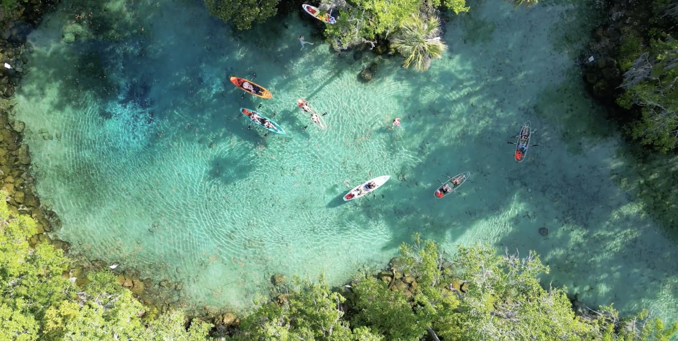 Three Sisters Spring Manatee Clear Kayak Tour