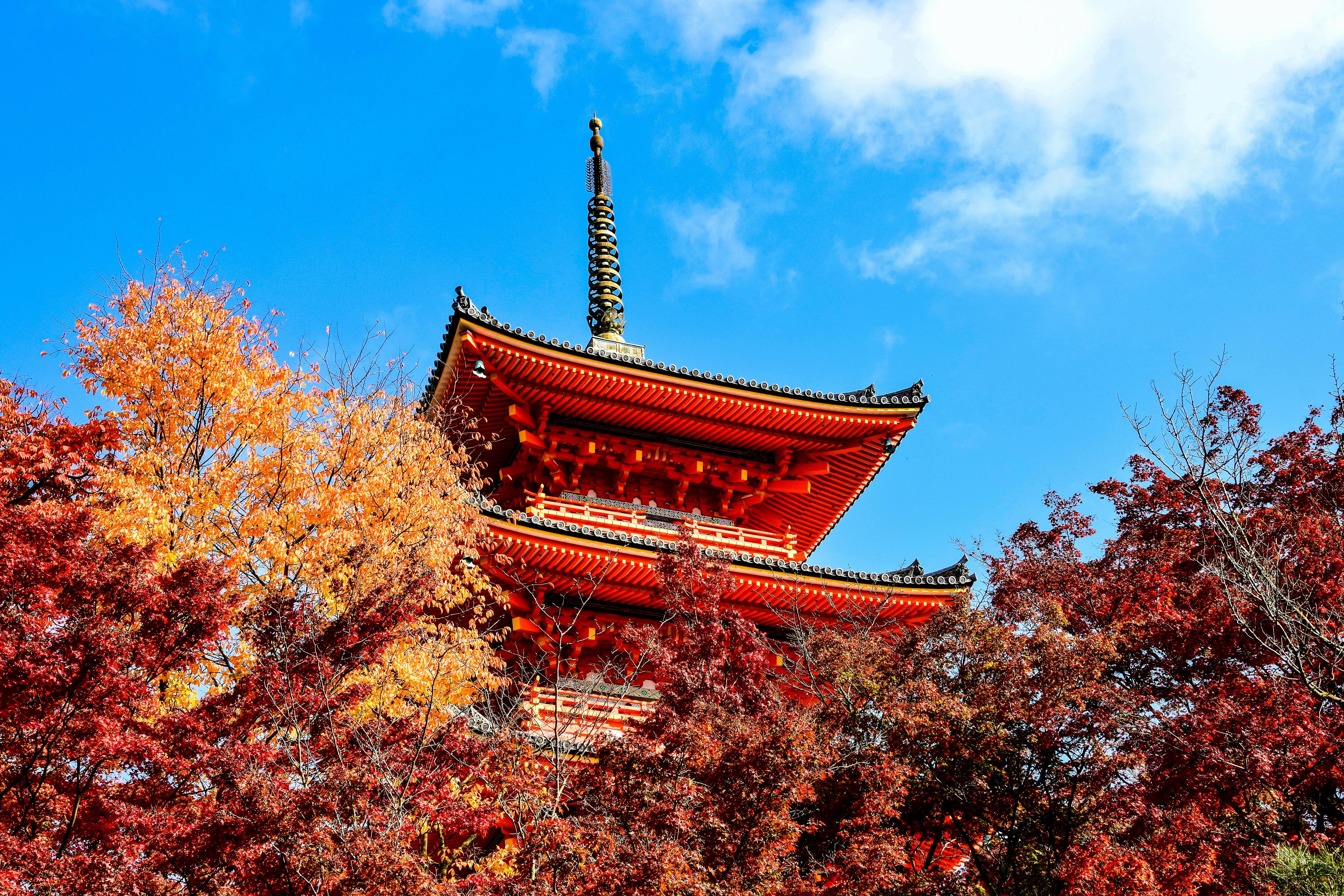 Nikko Autumn Day Trip: Toshogu, Kegon Falls & Lake Chuzenji