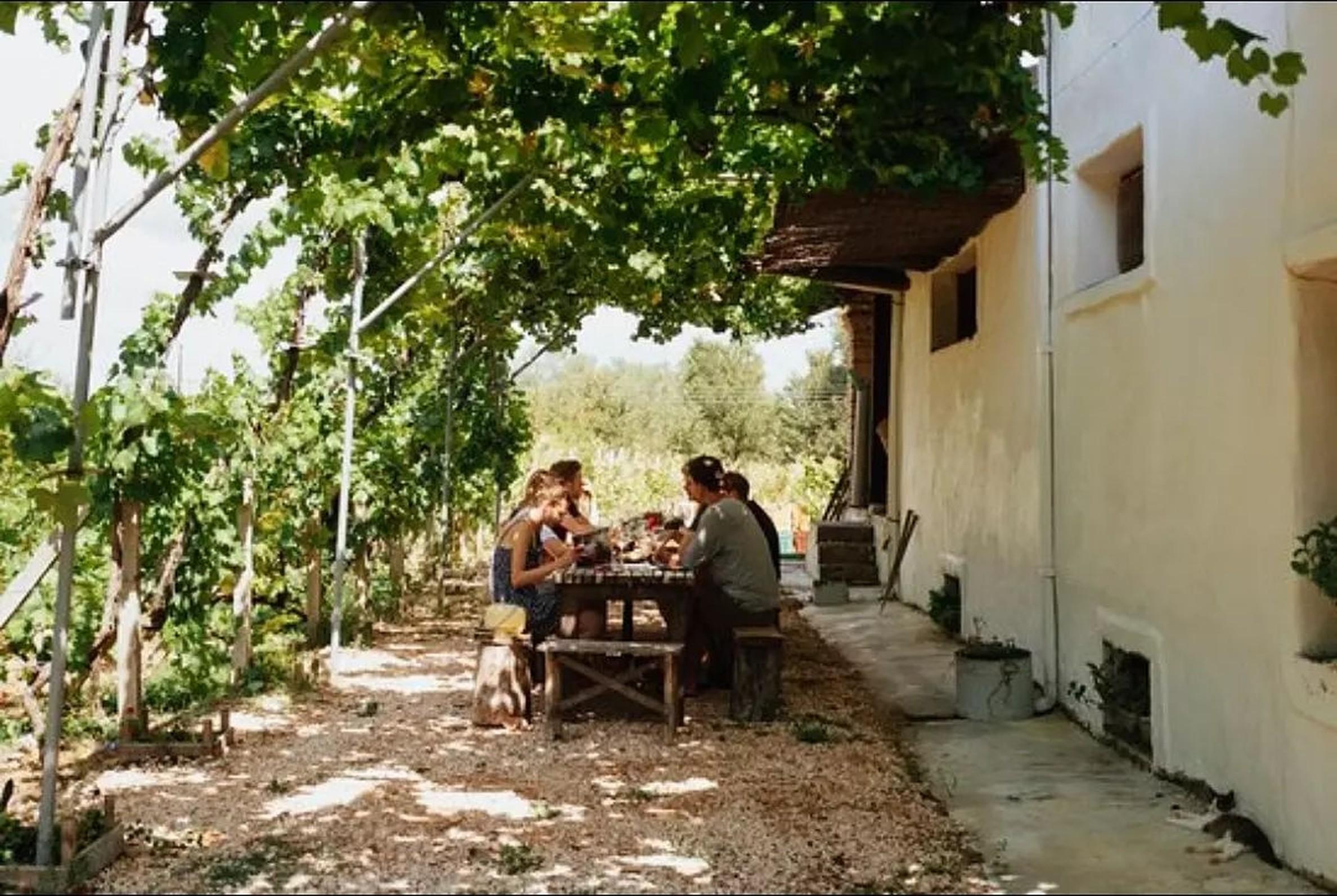 Family Winery Tour & Wine Tasting in Corfu