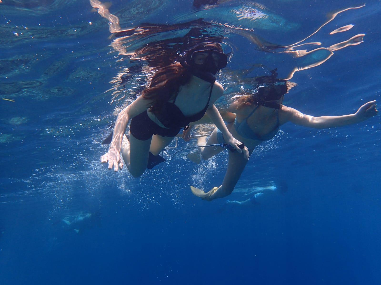 Menjangan Island Snorkeling Adventure
