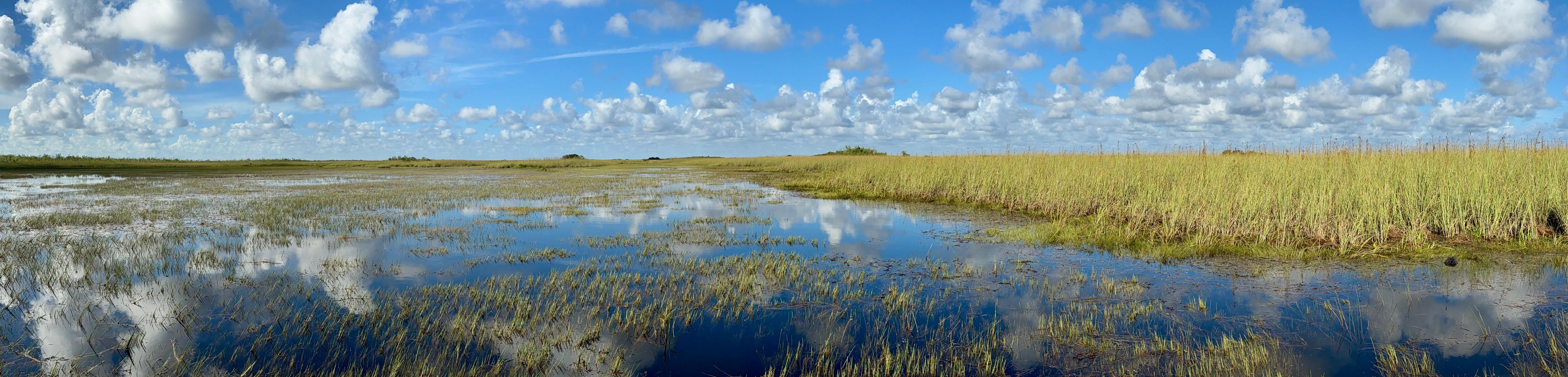 Small-Group Everglades Eco-Adventure & Private Islands Tour