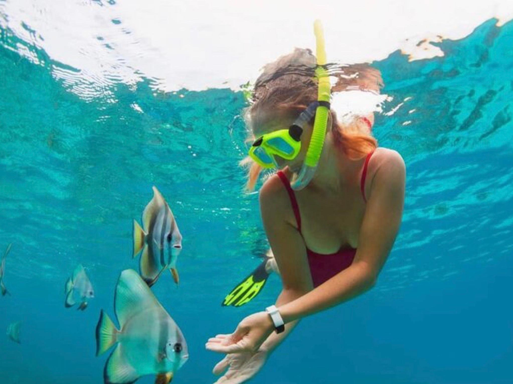 Bali Snorkeling Excursion: Blue Lagoon & Tanjung Jepun