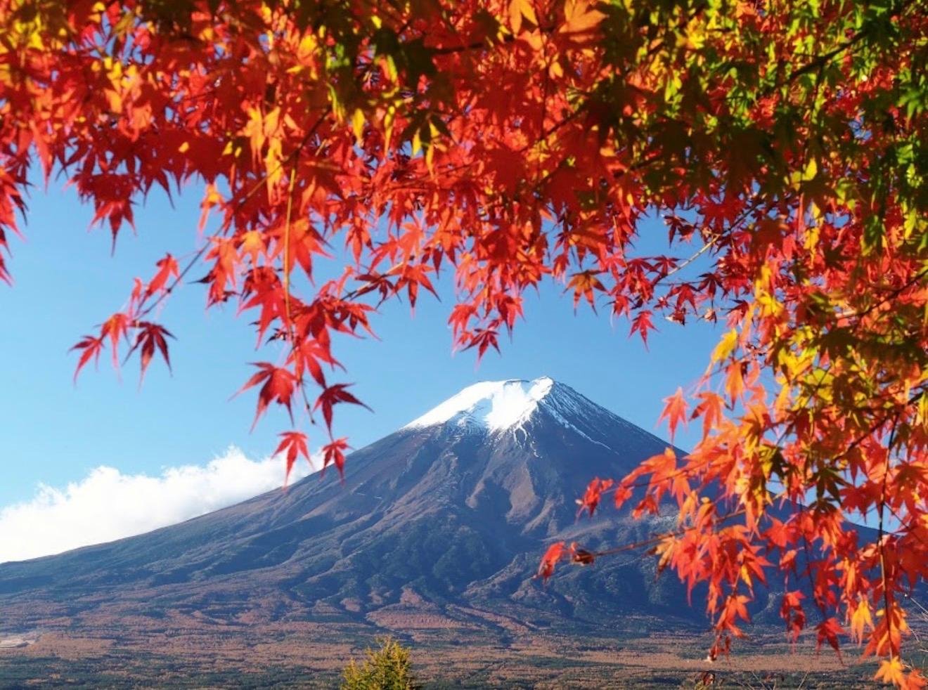 Customizable Mount Fuji Private Day Trip from Tokyo
