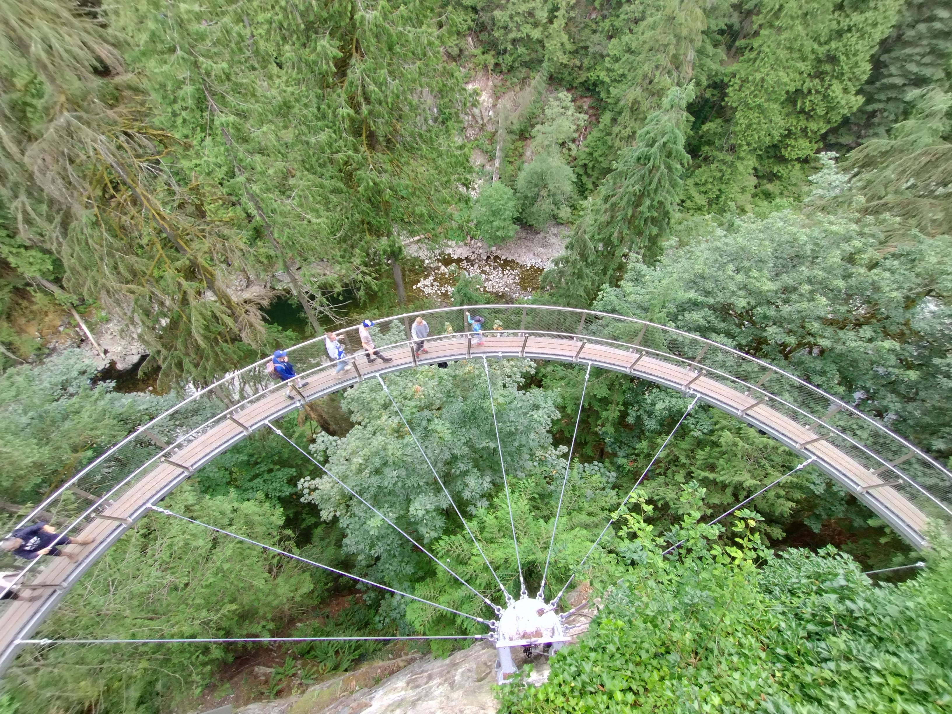 Capilano Suspension Bridge & Stanley Park Small Group Tour