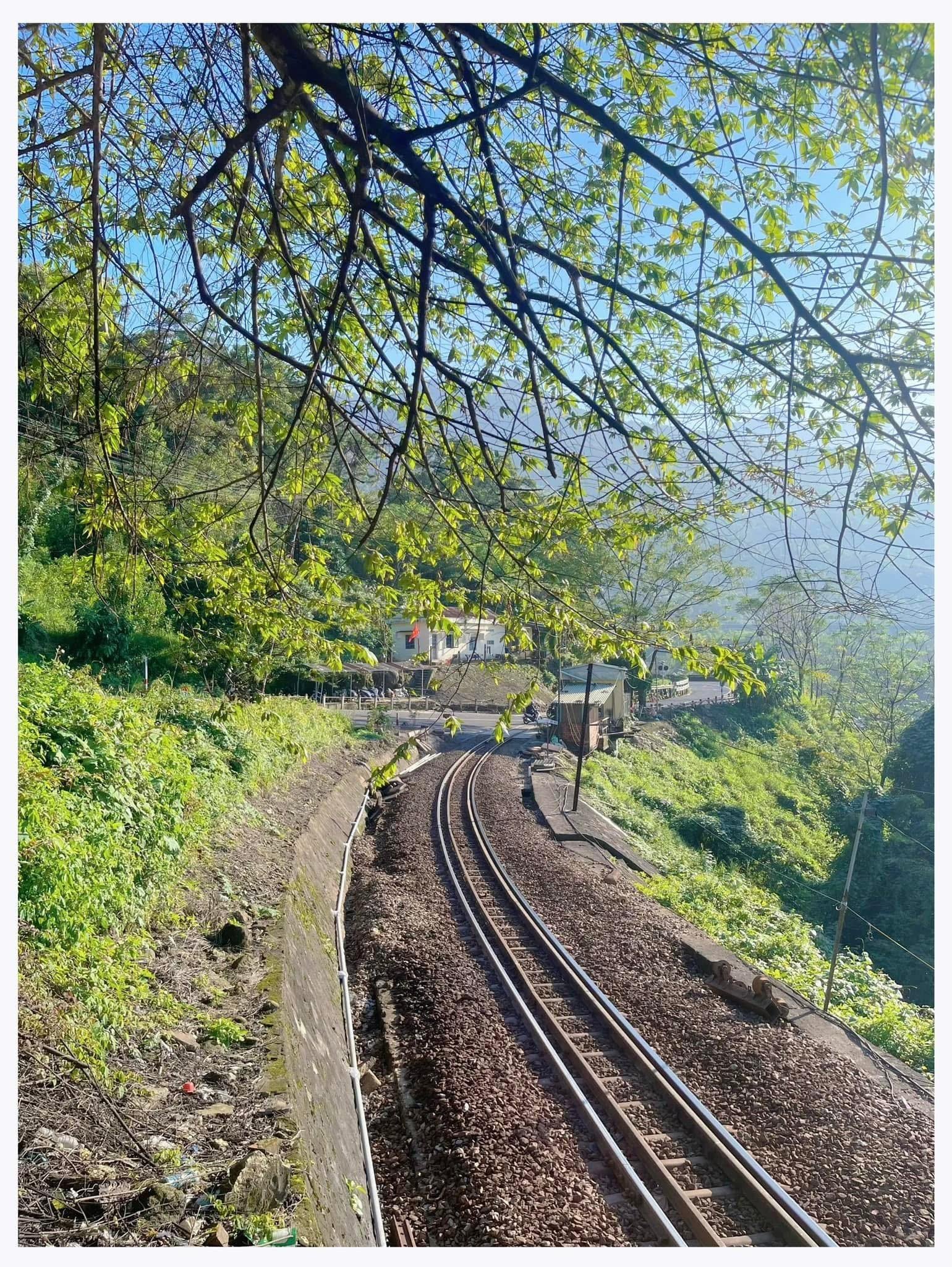 Hue Imperial City & Hai Van Pass Private Rail Tour