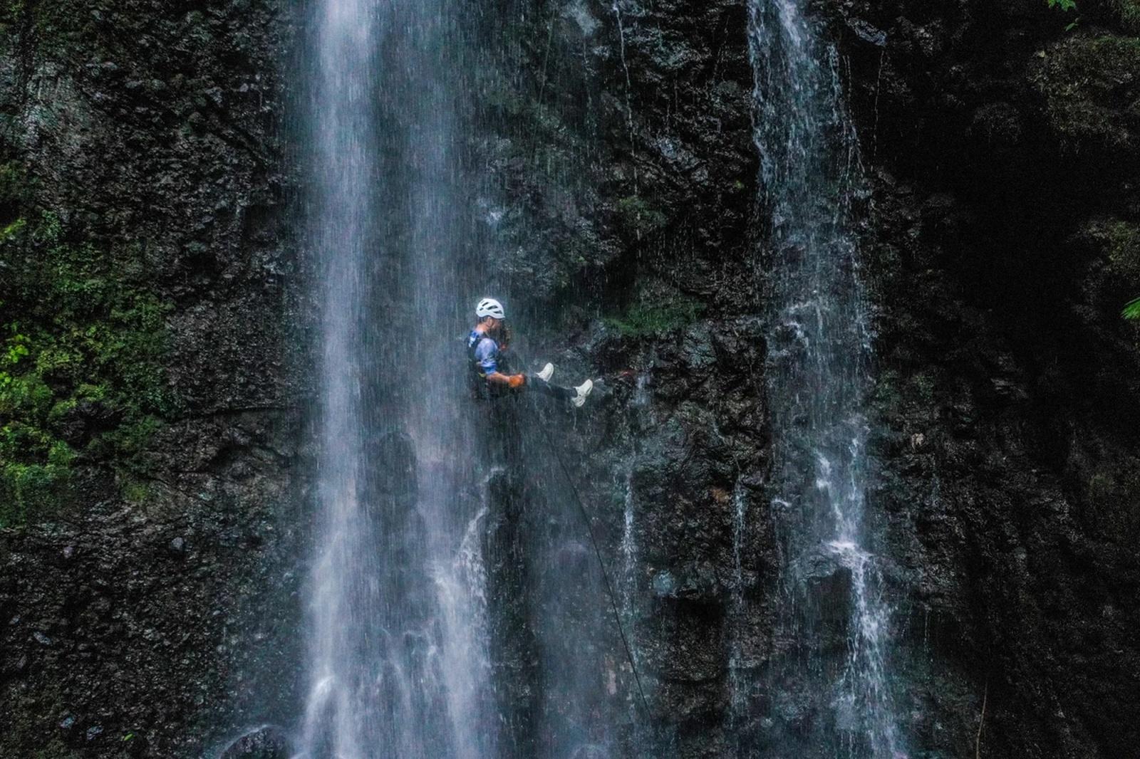 Canopy Zipline, Rappel & Tarzan Swing Adventure