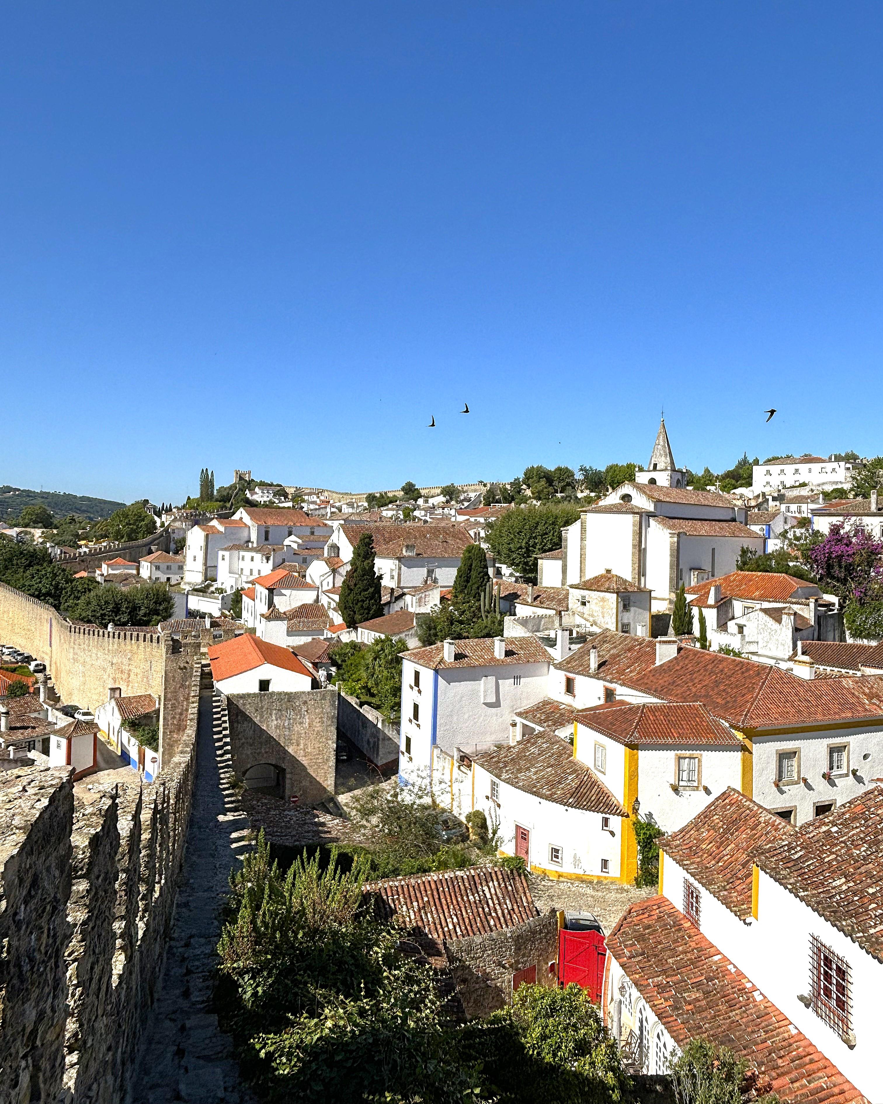 Lisbon to Porto Private Transfer with 3 Scenic Stopovers