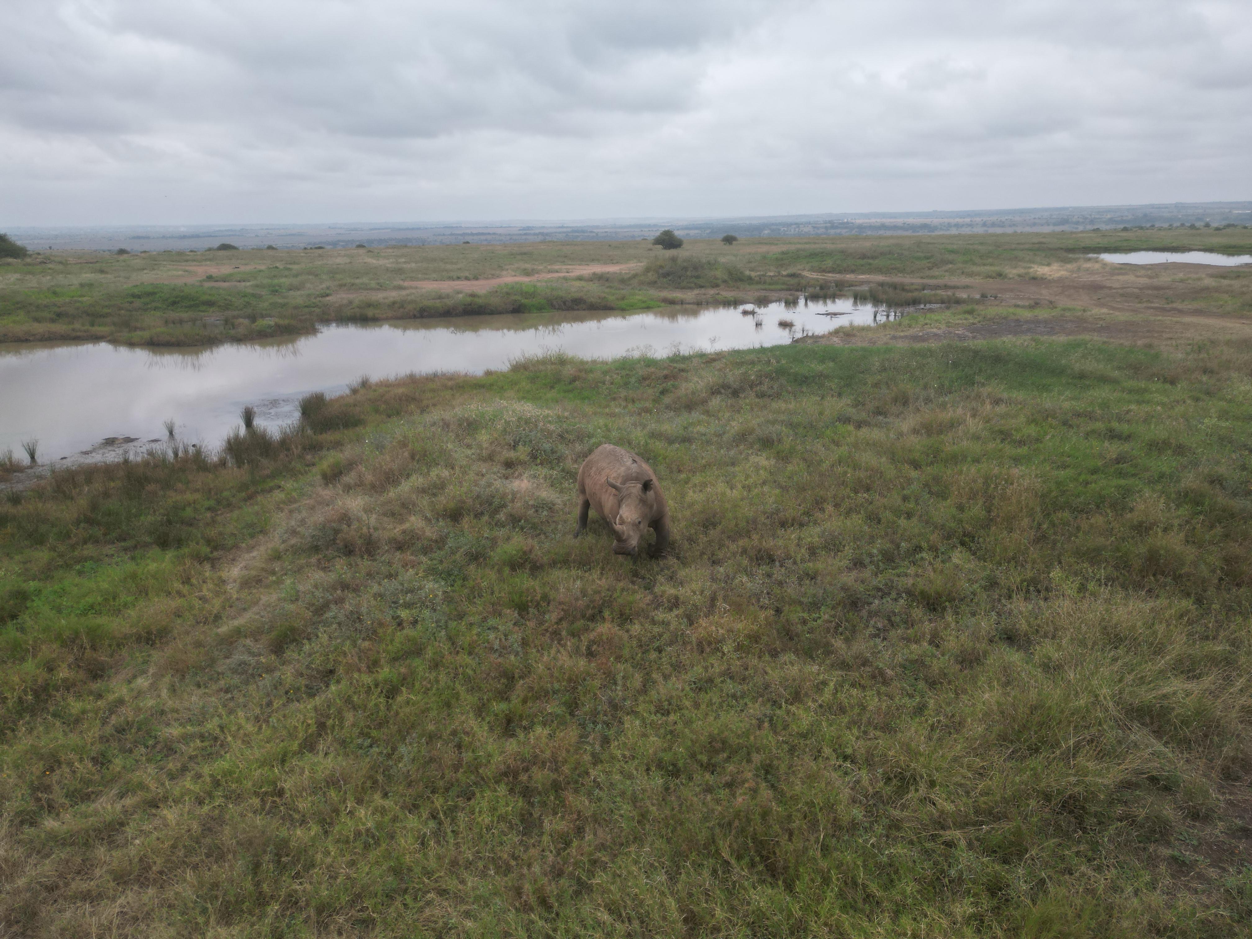 3-Day Masai Mara Safari Adventure from Nairobi