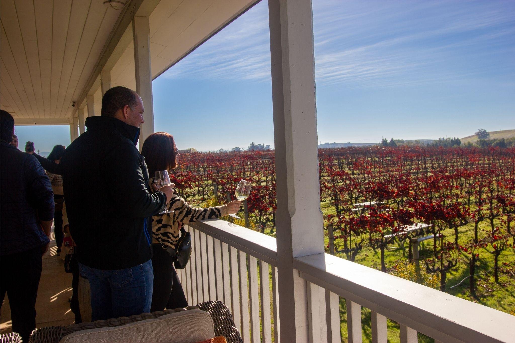 San Francisco: Napa & Sonoma Wine Tour with Optional Tasting