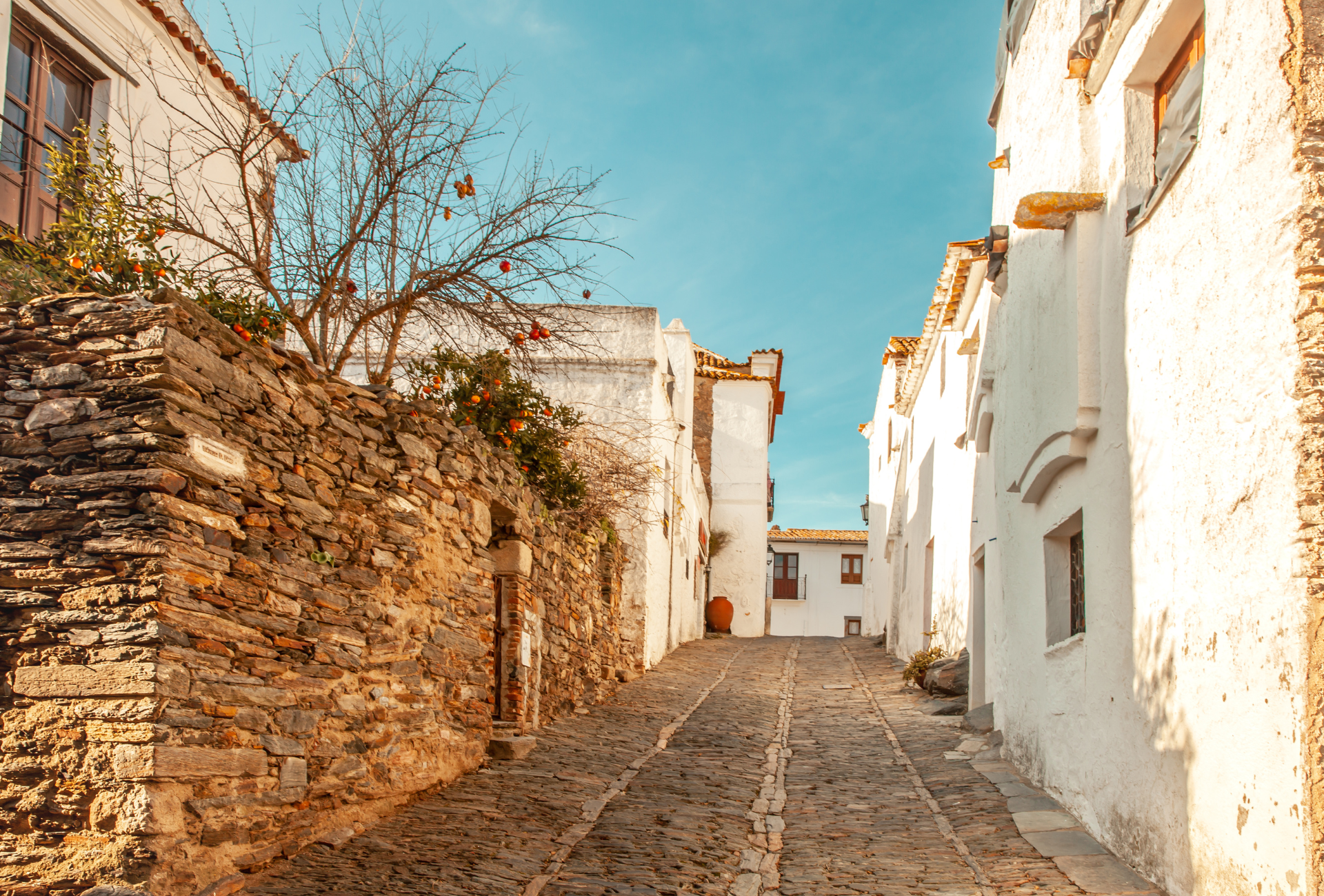 food tour in Évora — photo 18