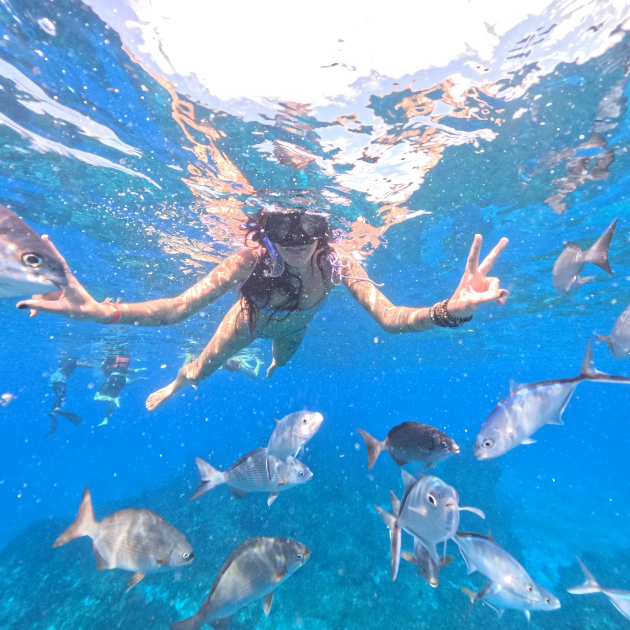 El Cielo Snorkeling Day Trip from Playa del Carmen