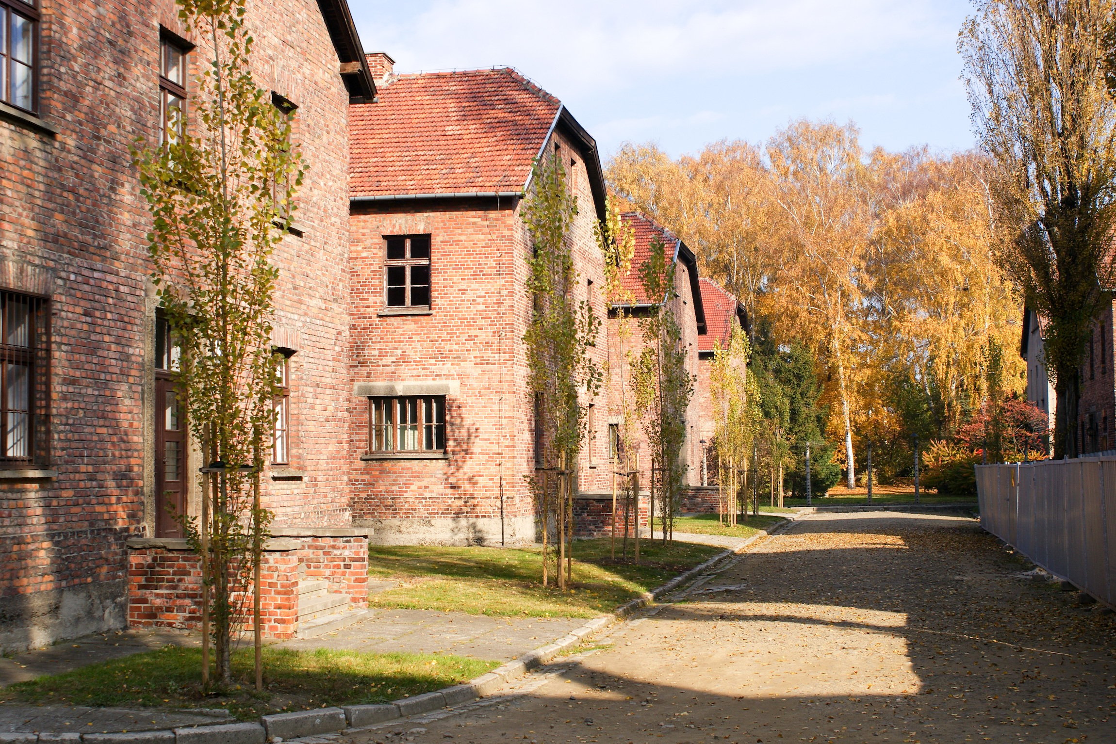 memorial tour in Auschwitz-Birkenau — photo 10