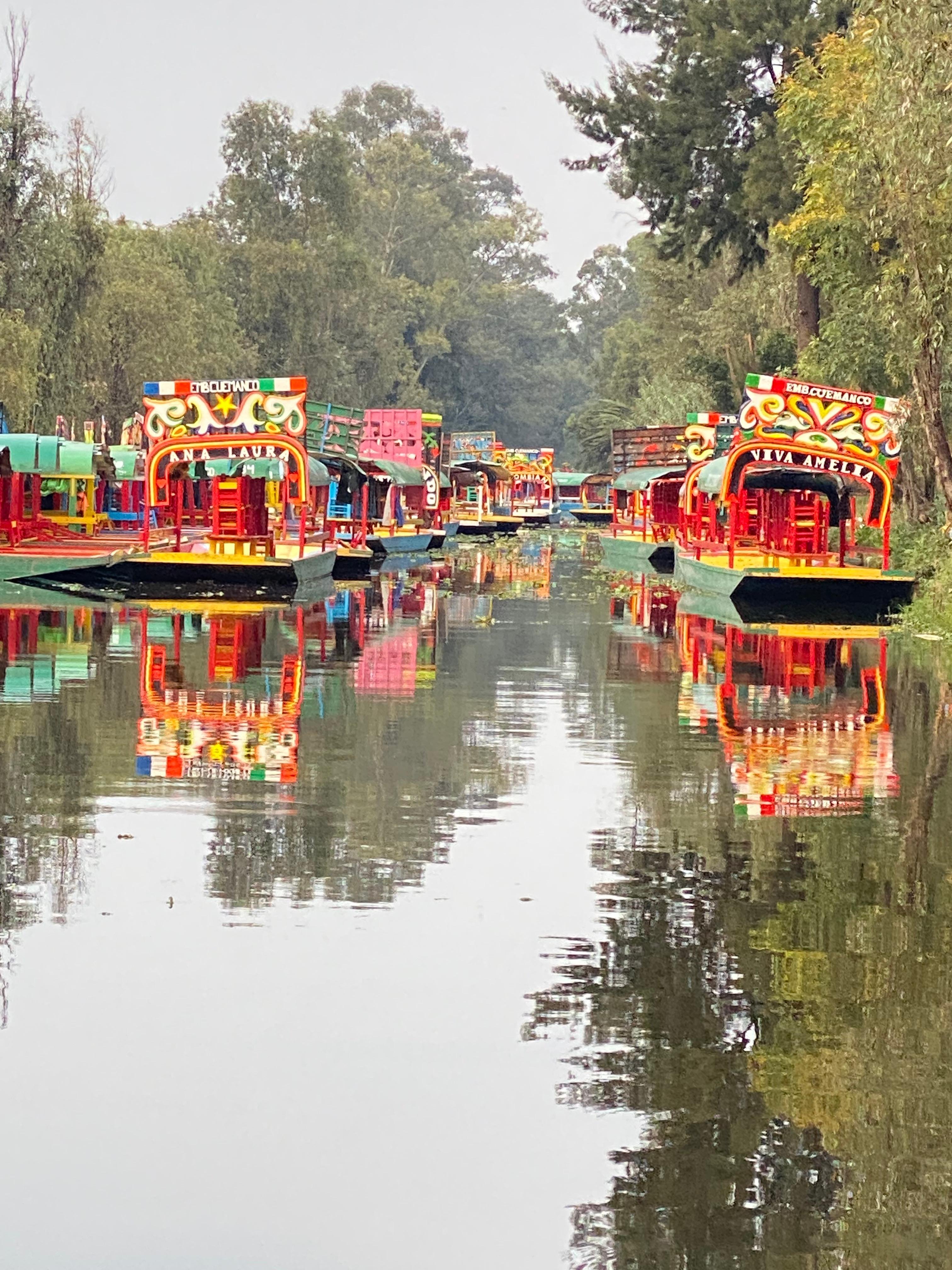 Private Xochimilco Eco-Tour: Chinampas & Traditional Meal