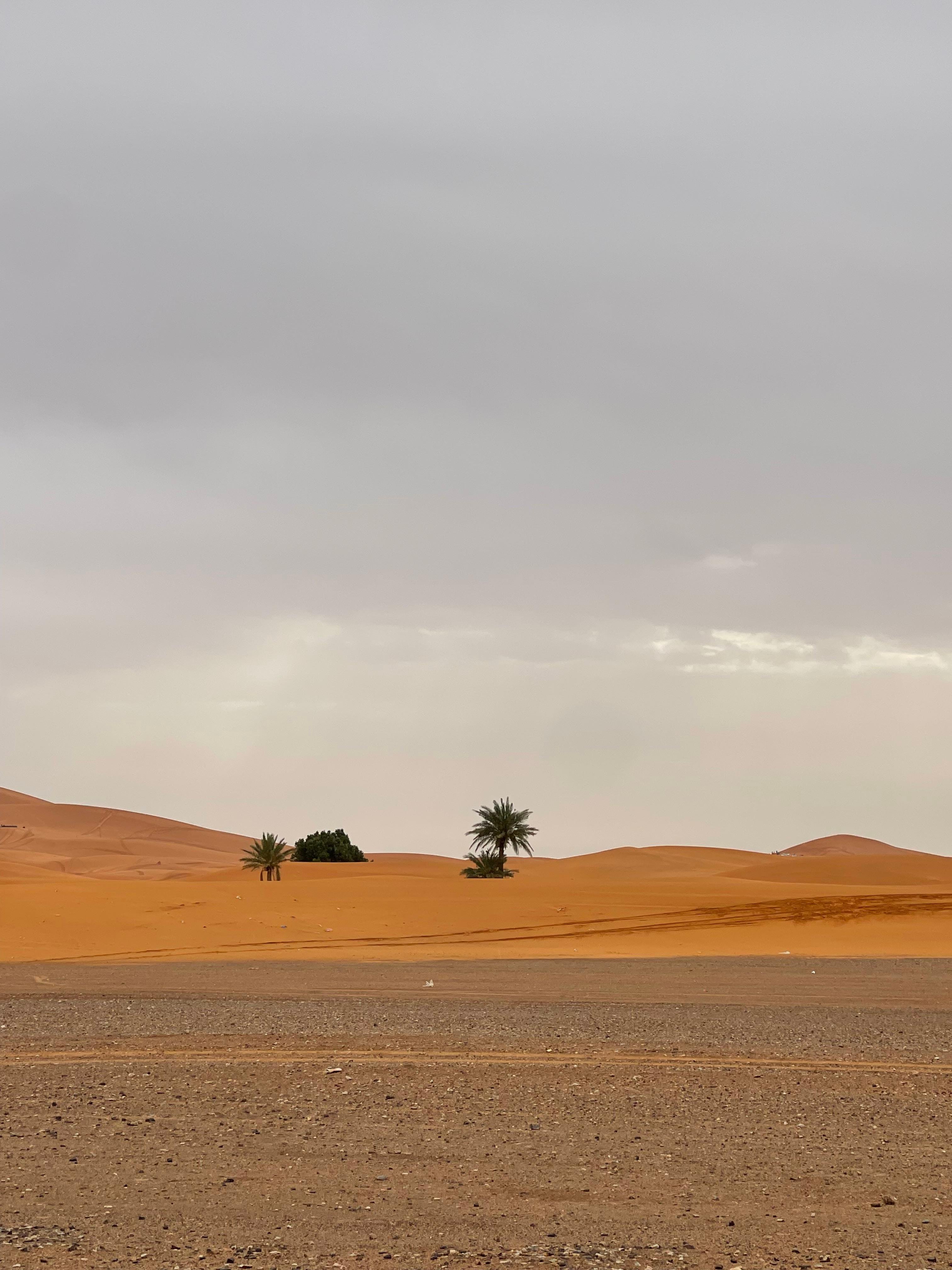 3-Day Sahara Desert Luxury Expedition from Marrakech