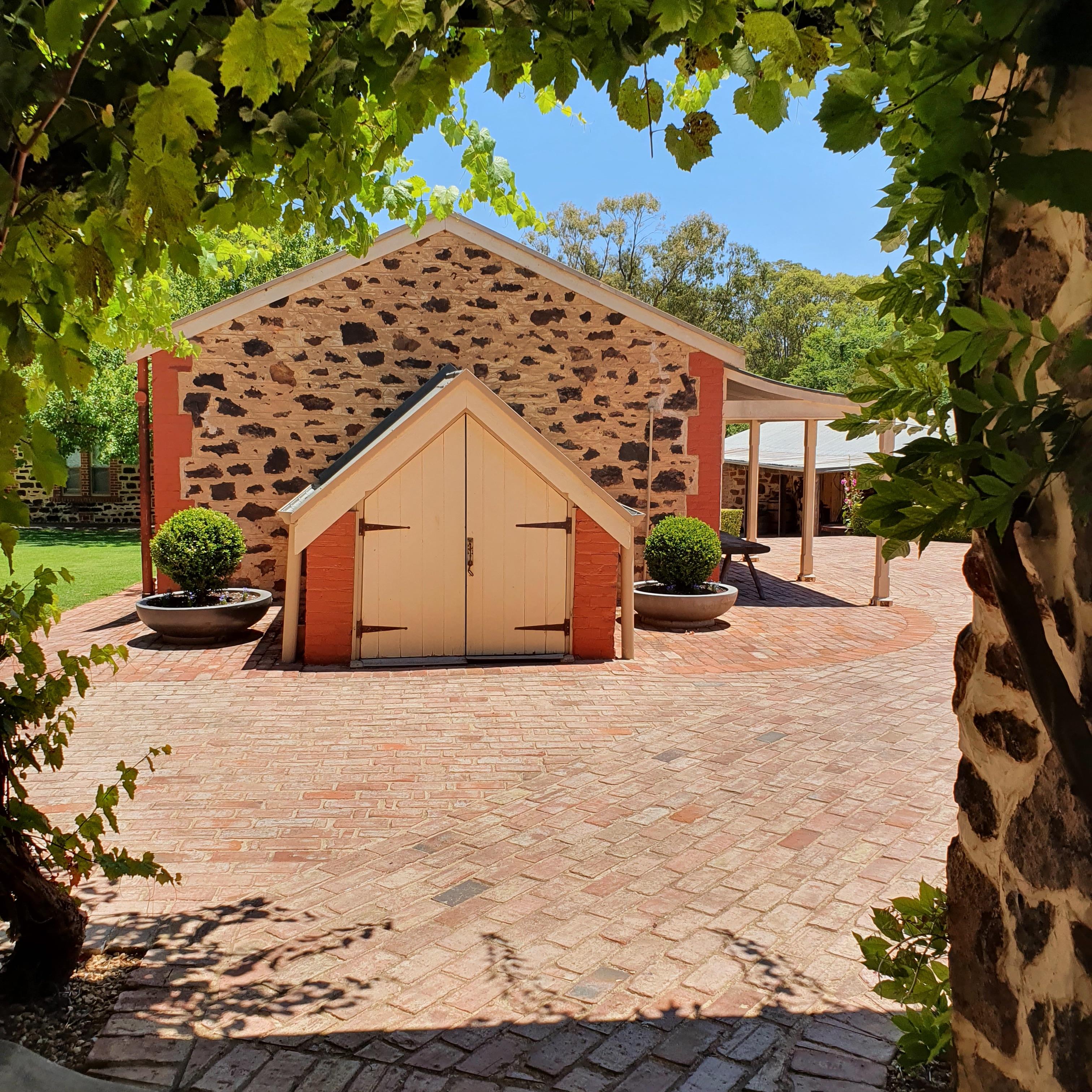 Barossa Valley Wine Experience with Lunch from Adelaide