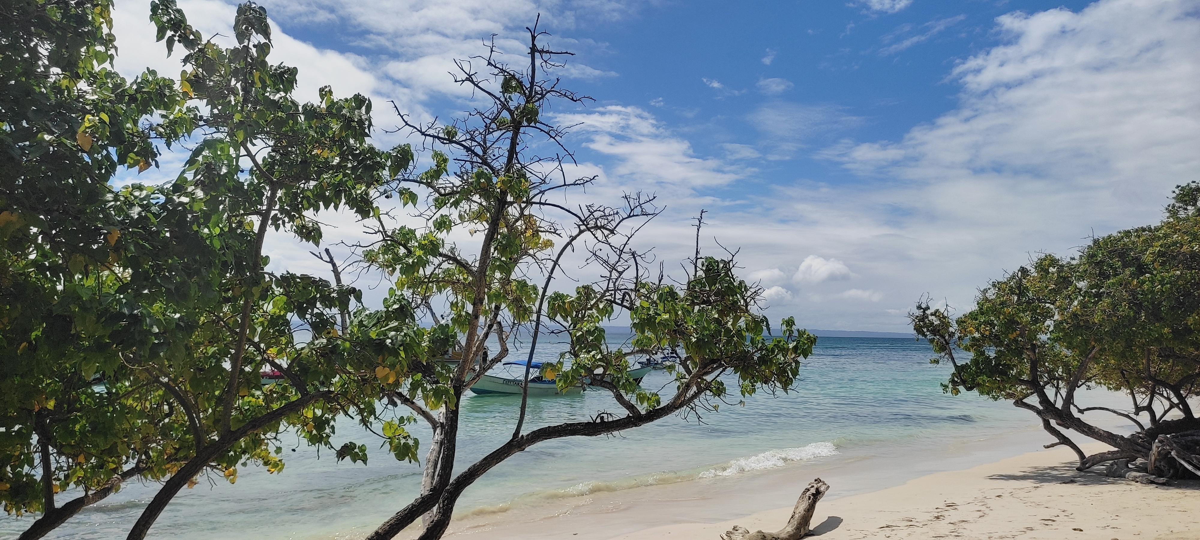 Samaná Bay & El Limón Waterfall Full-Day Adventure