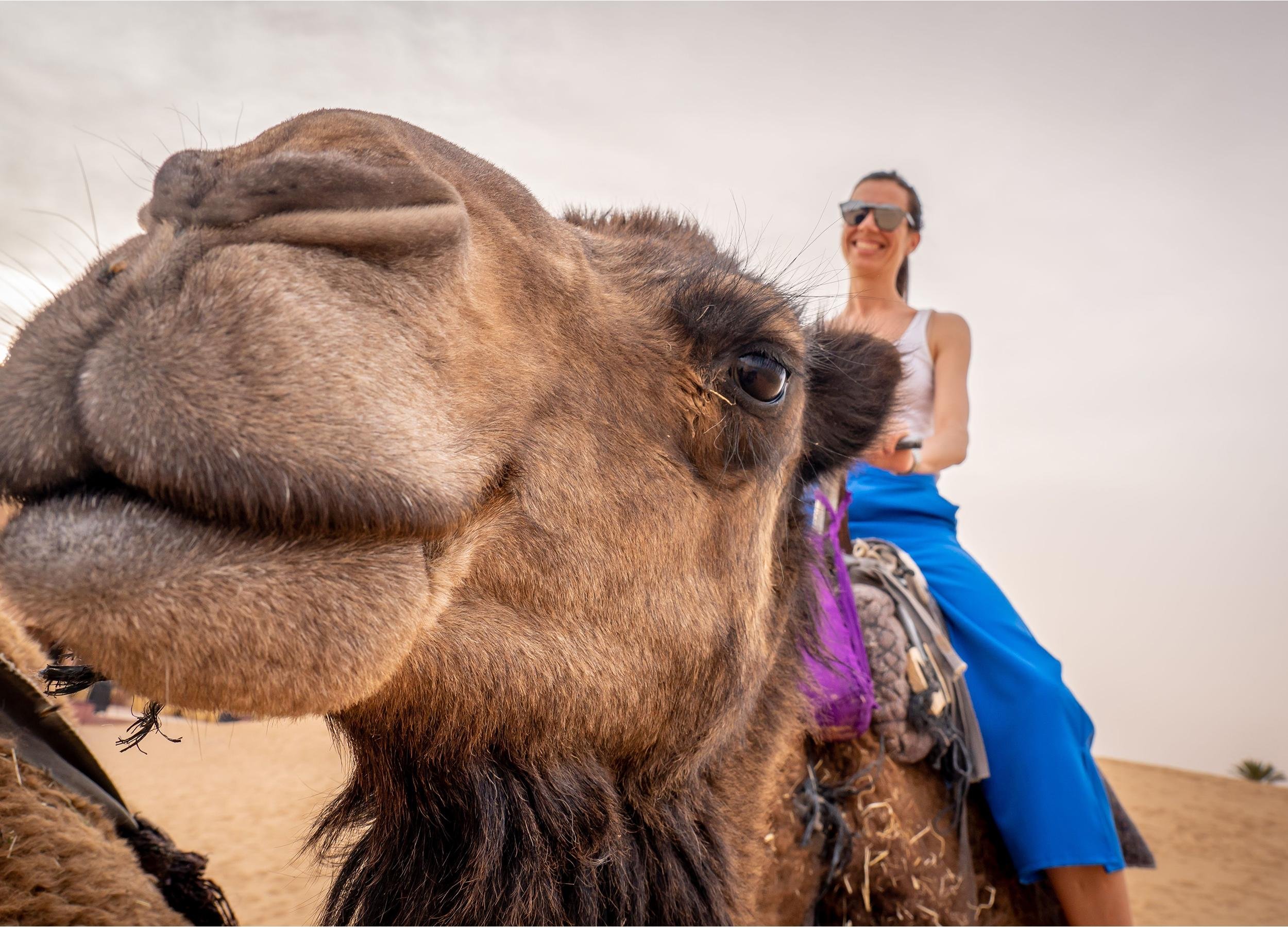 Private 3-Day Sahara Desert Adventure from Marrakech via Merzouga