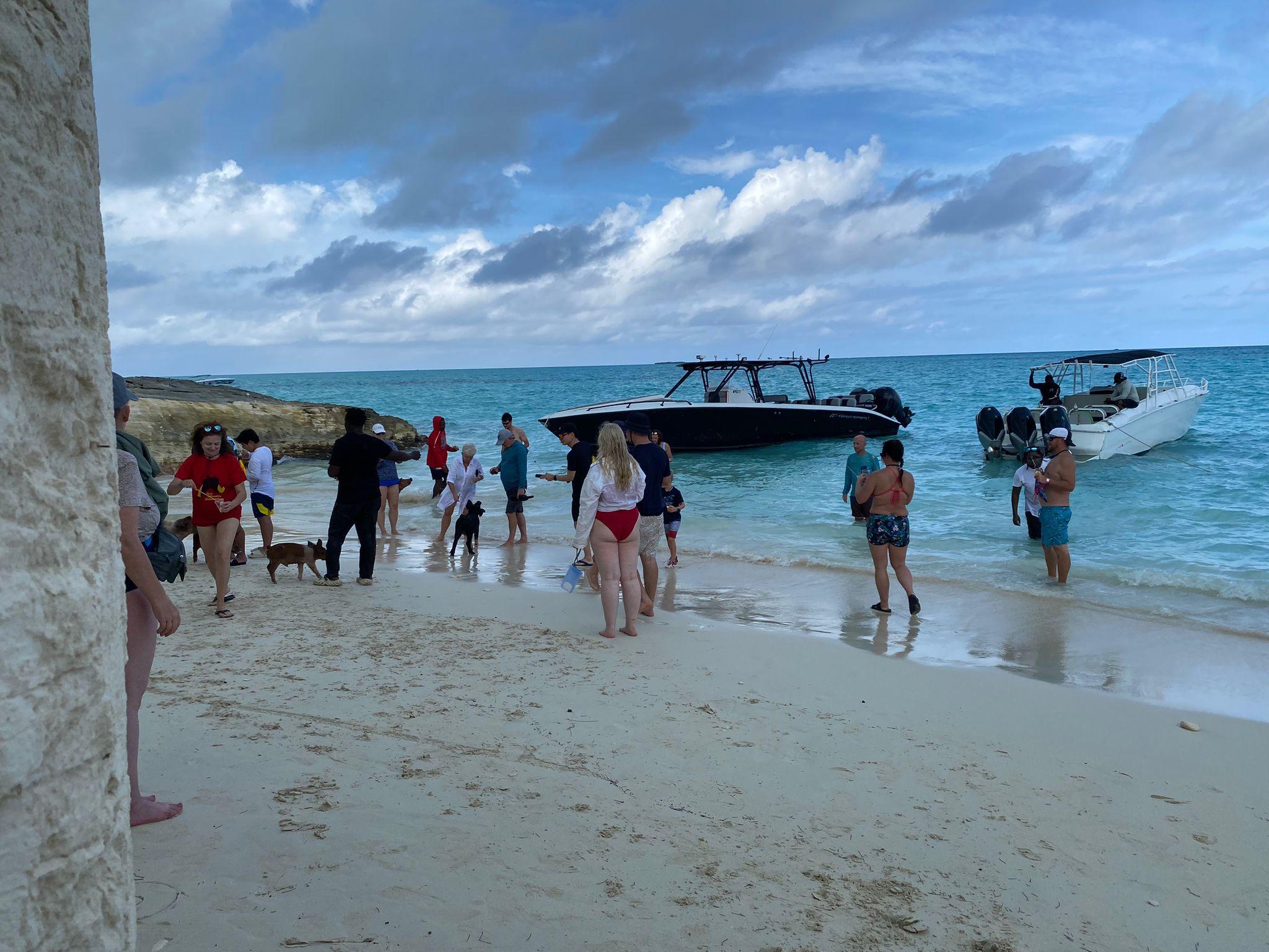Nassau 3-Island Speedboat Adventure: Pigs, Turtles & Snorkeling