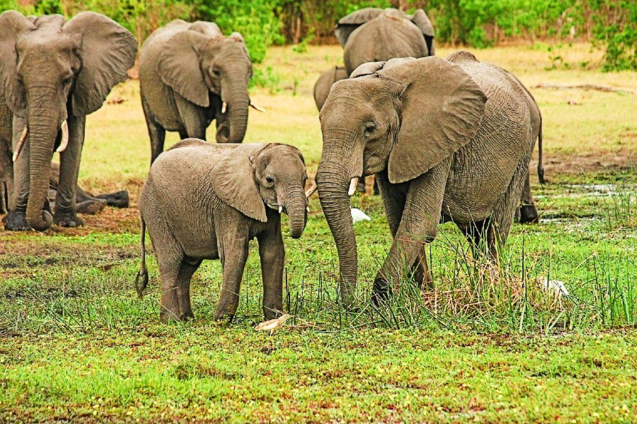 6-Day Kerala Backwaters and Houseboat Private Expedition