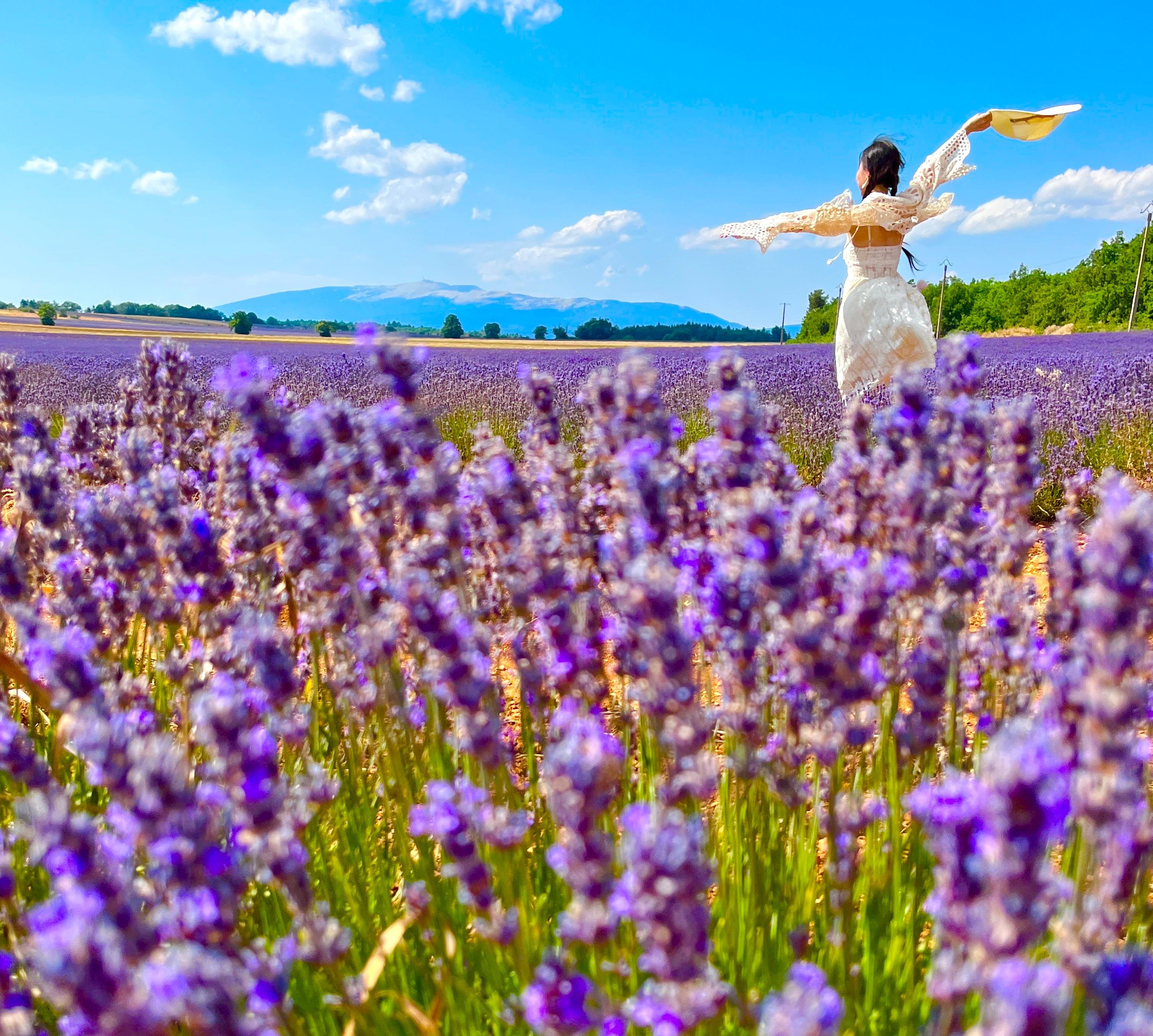 Lavender Fields & Luberon Villages Full-Day Tour from Avignon