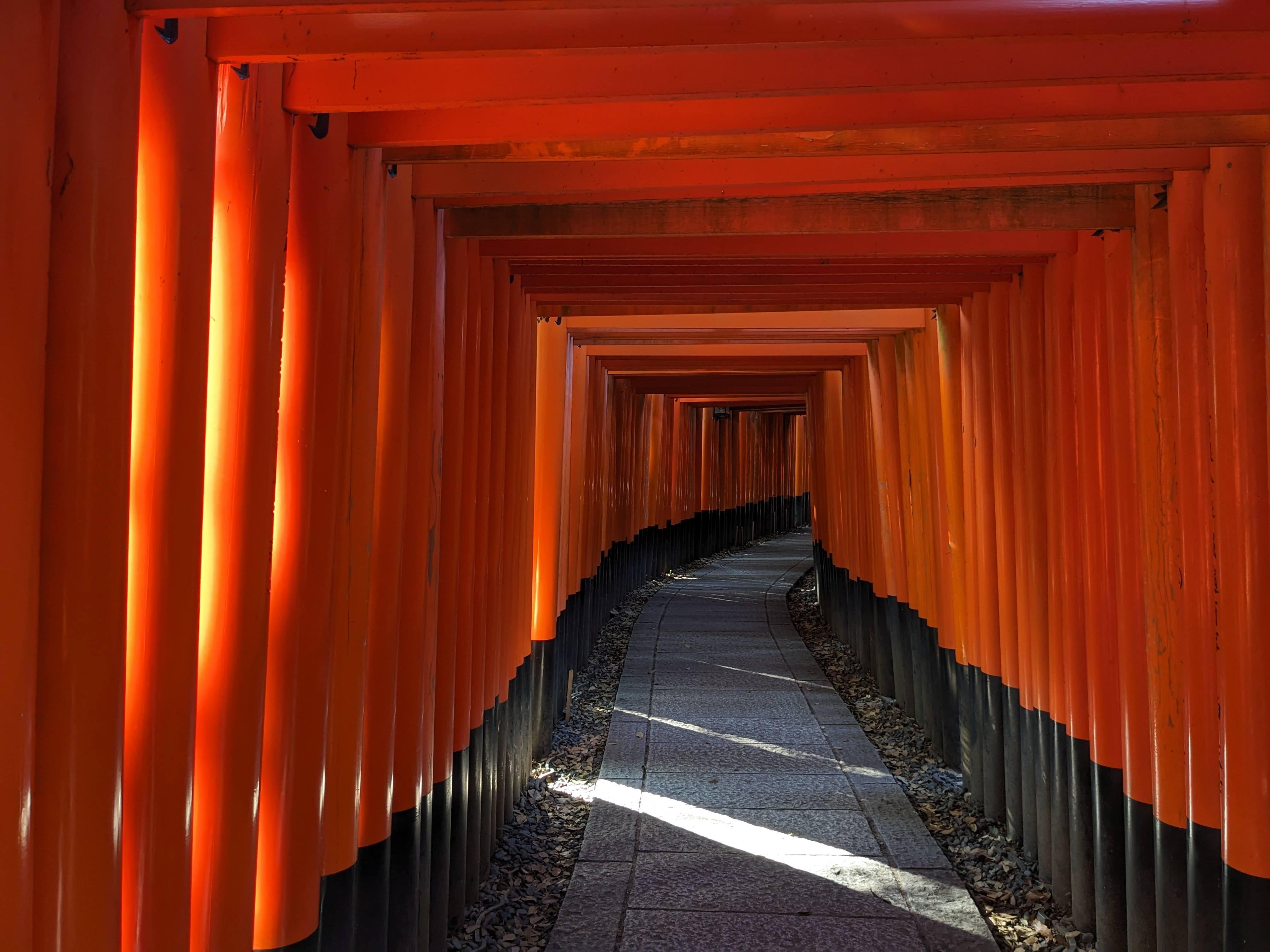 Kyoto Full-Day Highlights Tour: Temples and Historic Districts