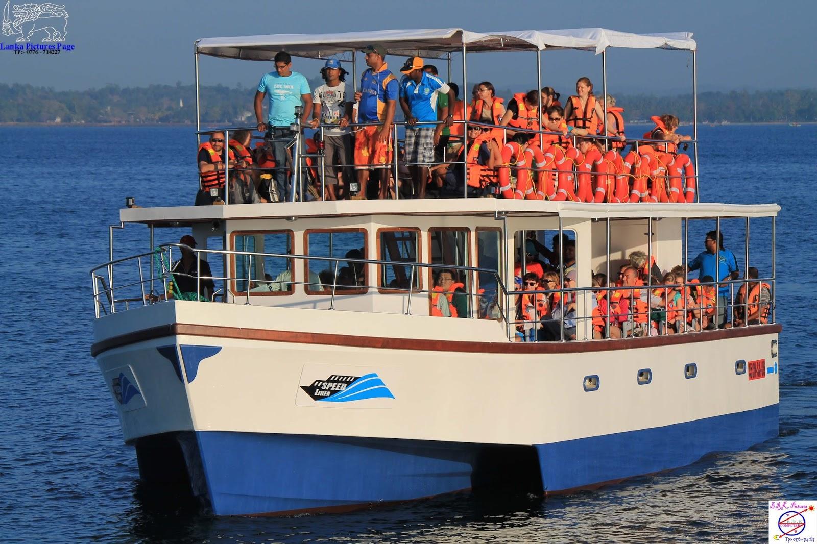 Mirissa Whale and Dolphin Ocean Safari with Private Transport