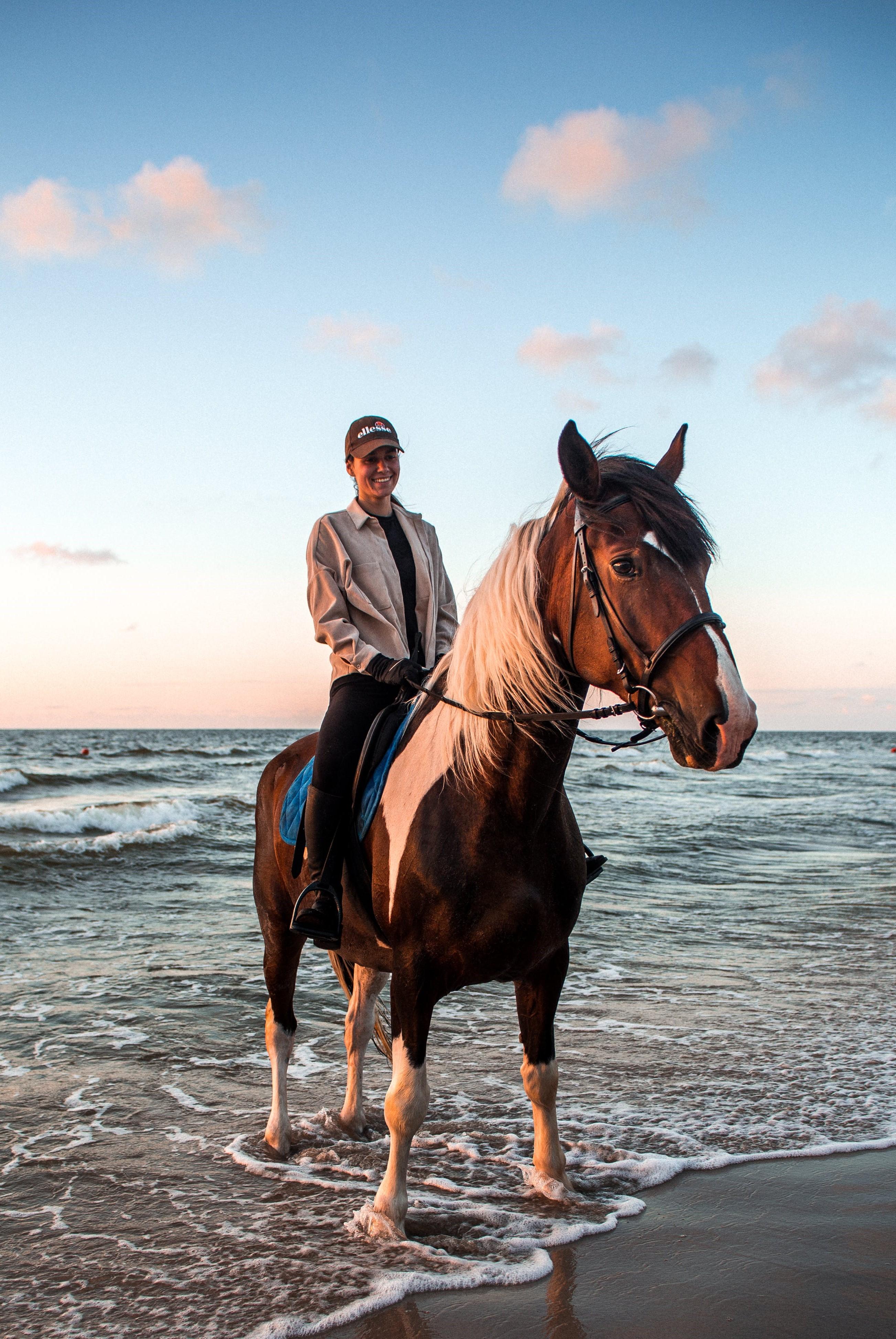 Marsa Alam Horse Riding: Desert & Red Sea Coast