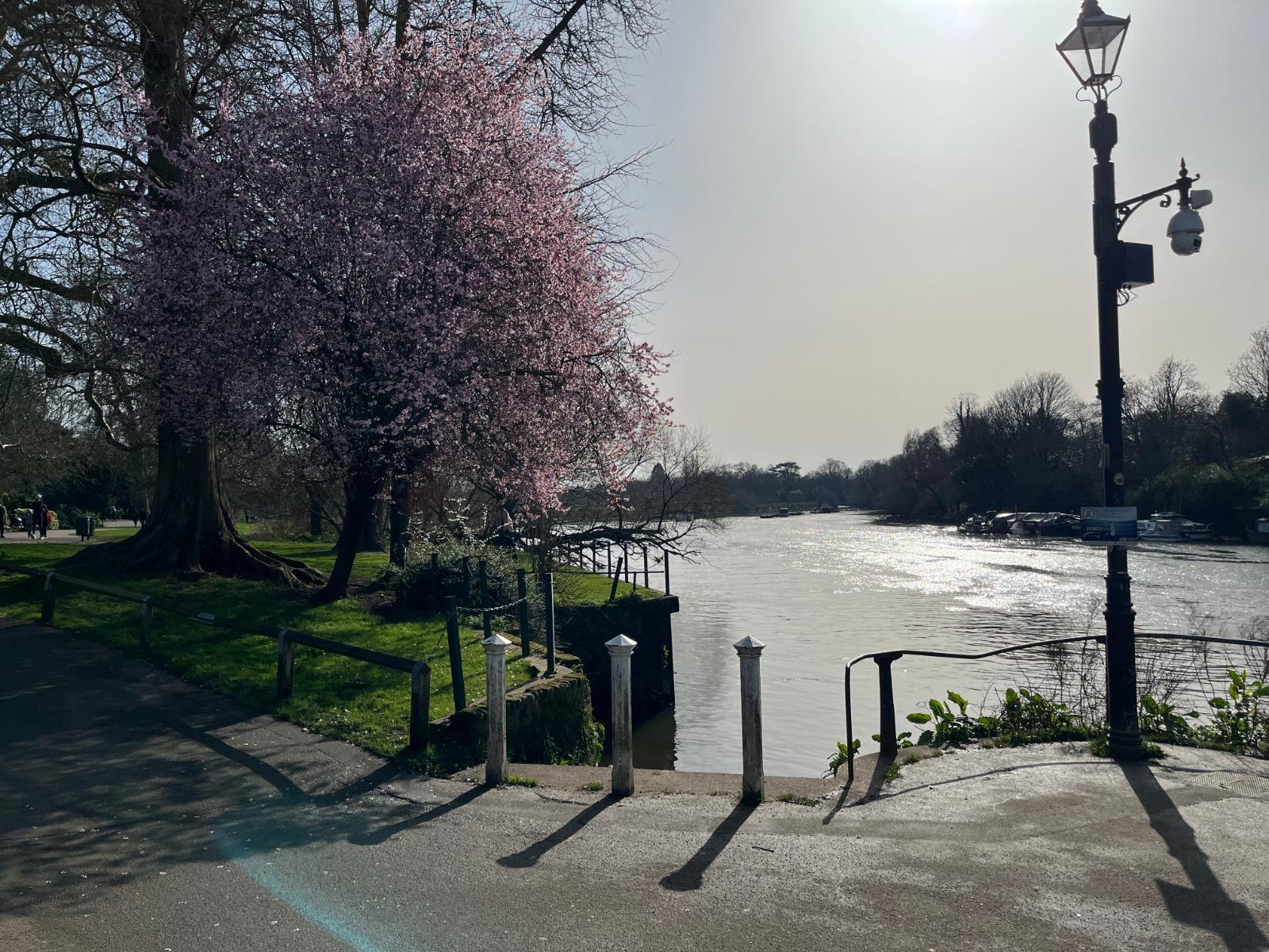 Historic Richmond & Nature Walking Expedition