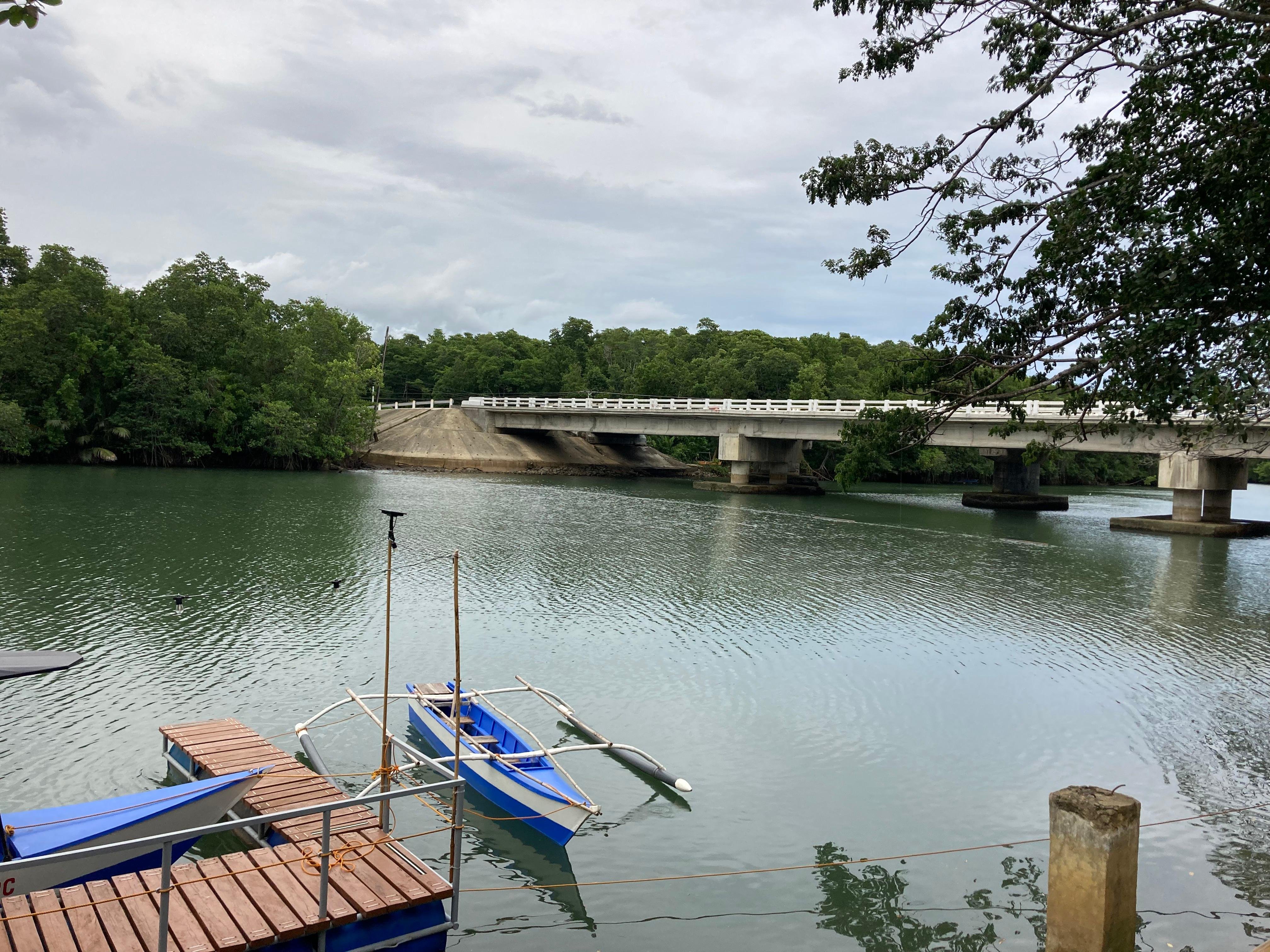 Iwahig River Firefly Watching Cruise from Puerto Princesa