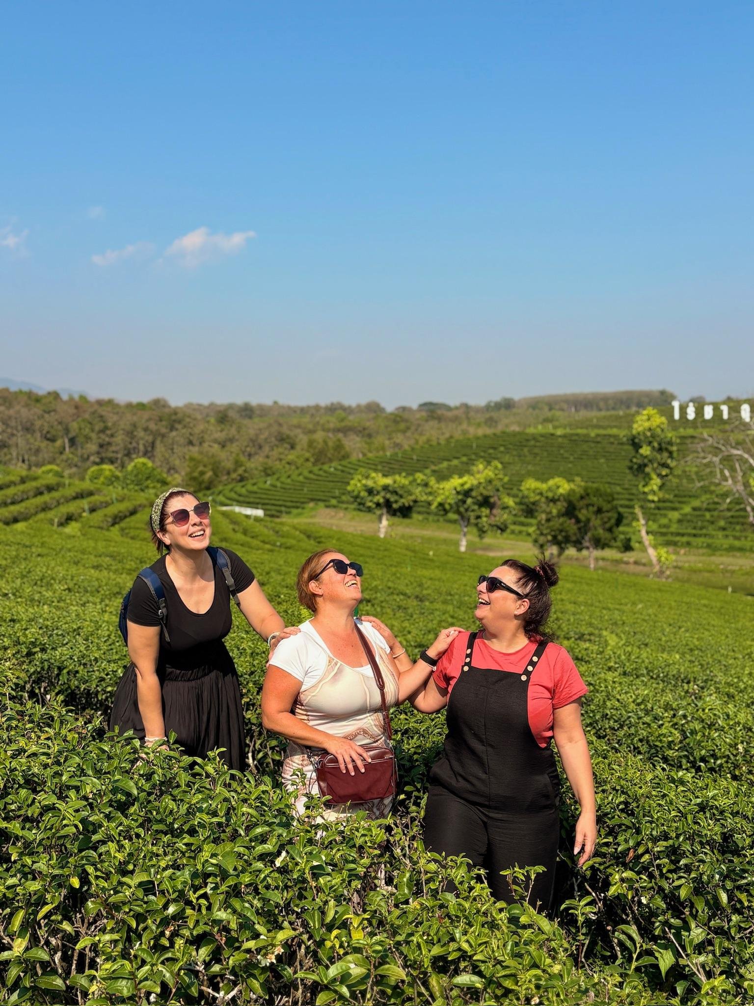 Chiang Rai Full-Day Highlights: Temples, Culture & Golden Triangle