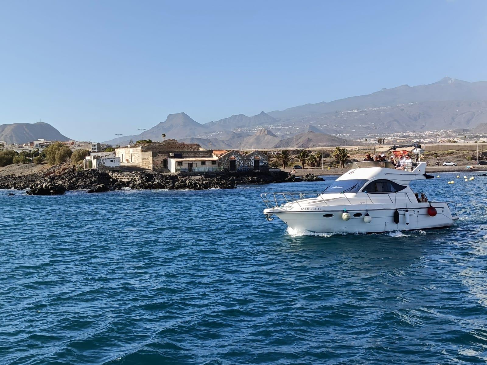 Luxury Whale Watching Safari in South Tenerife