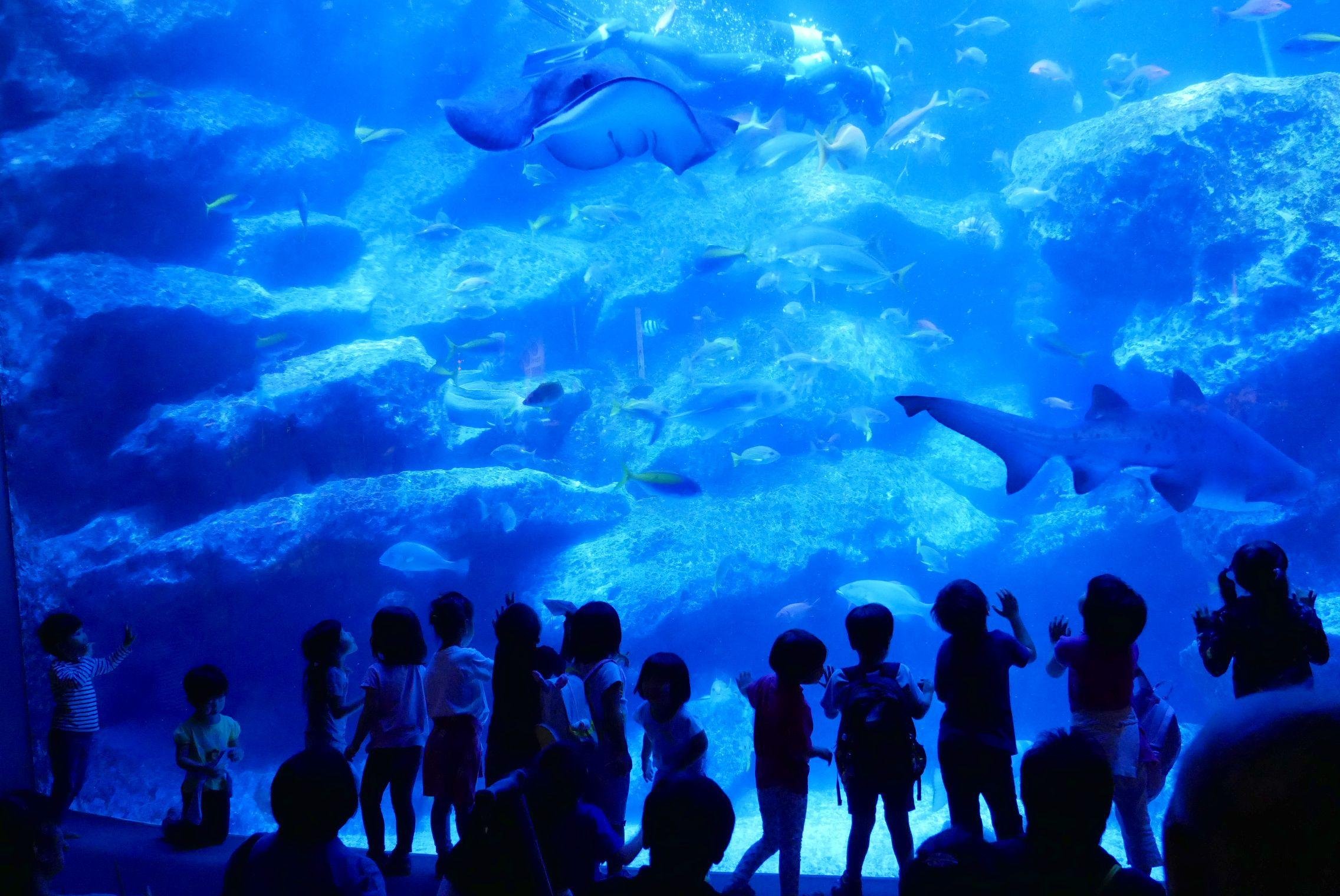 Sumida Aquarium Entry Ticket