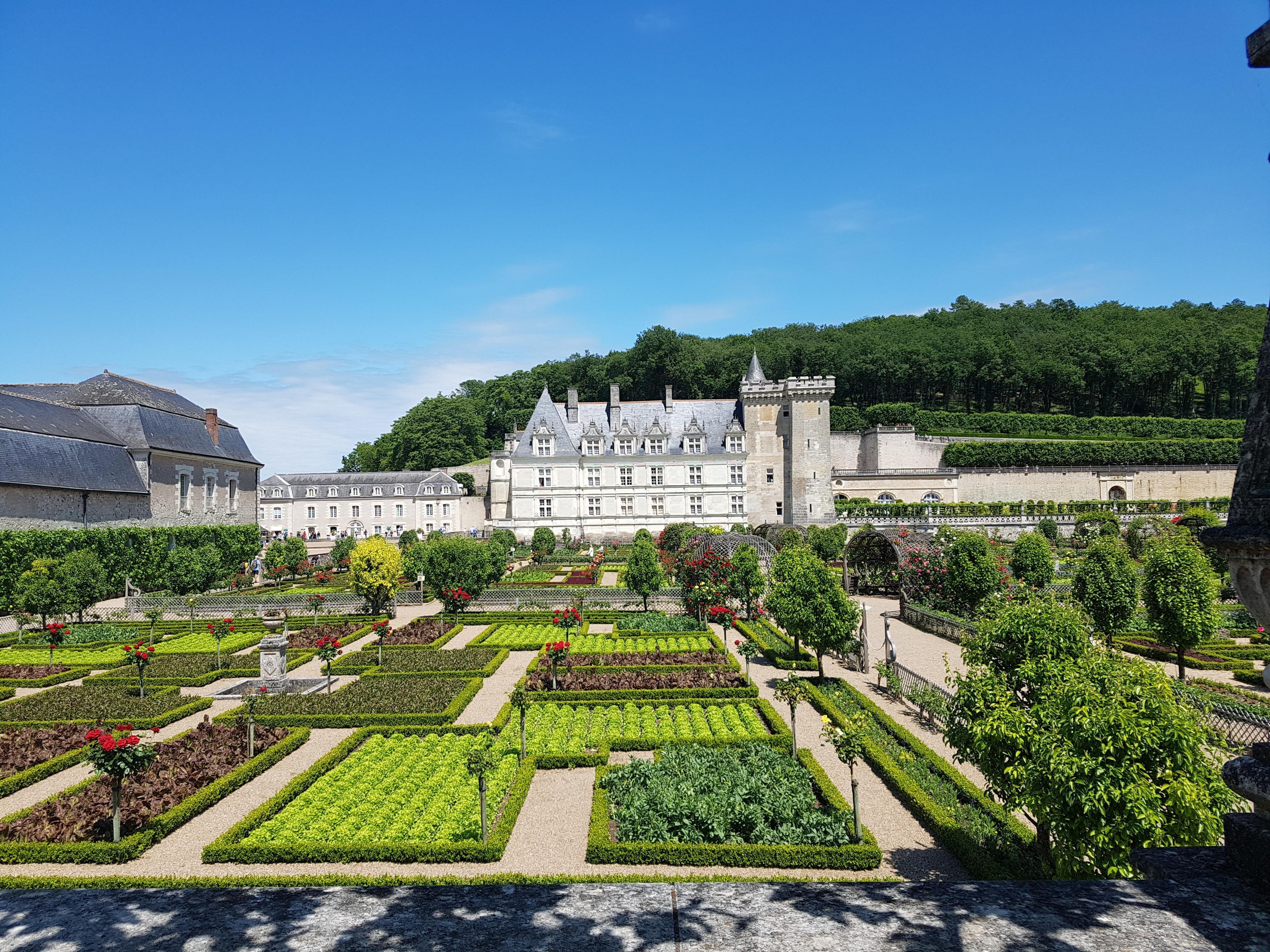 wine tour in the Loire Valley — photo 1