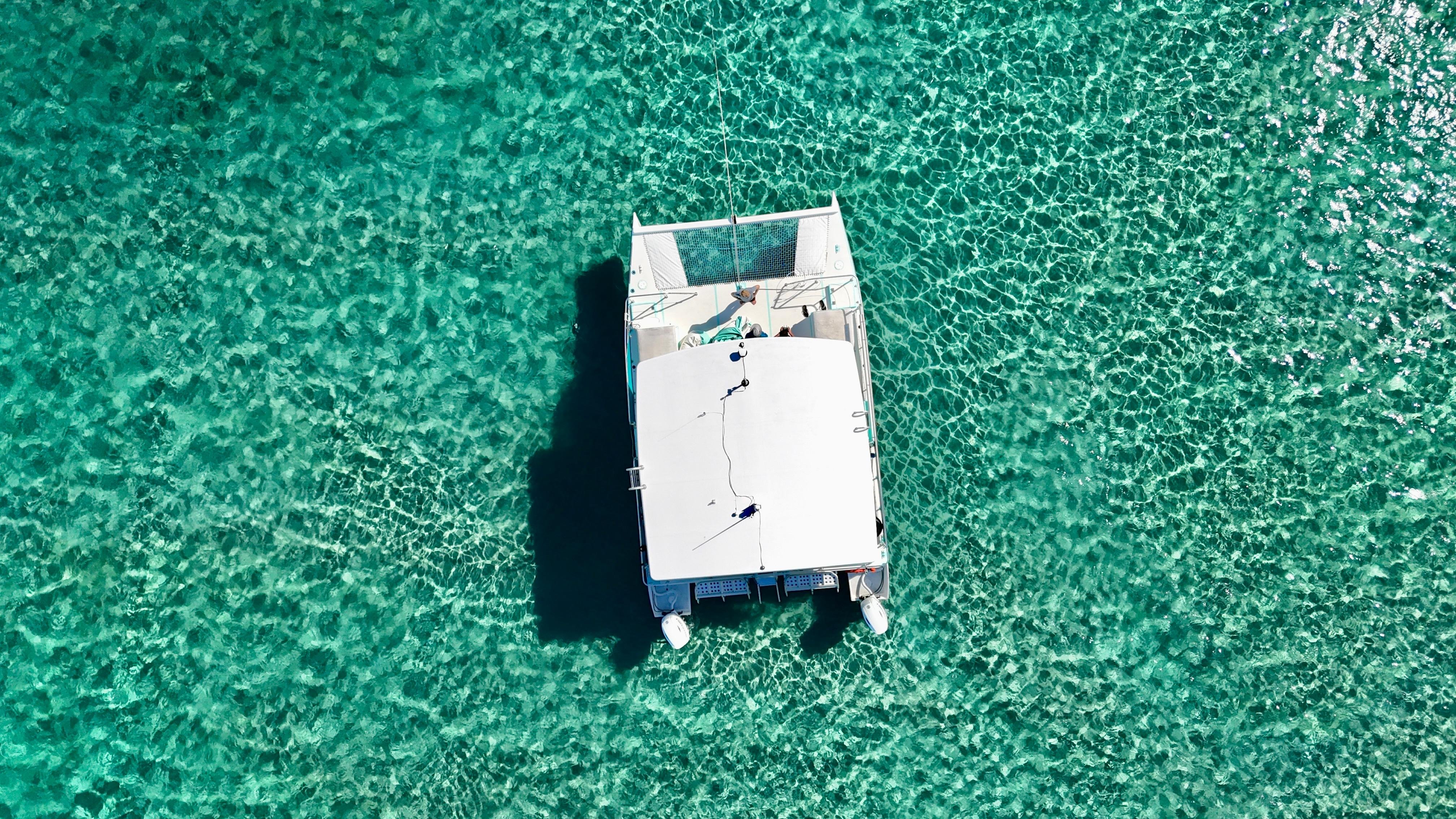 Peanut Island Sandbar & Swim Cruise
