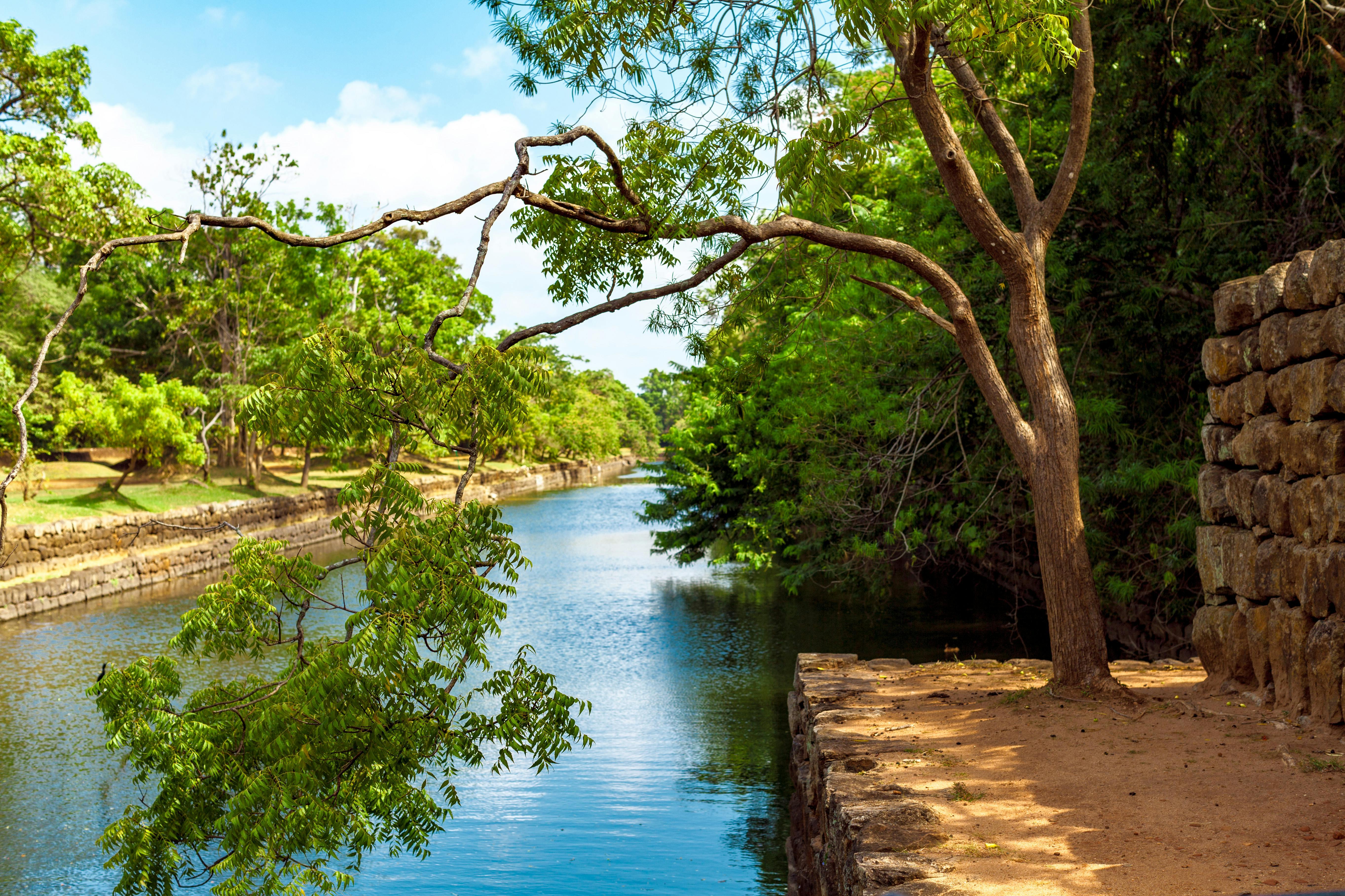 Sigiriya Lion Rock Fortress: Priority Entry & Guided Experience