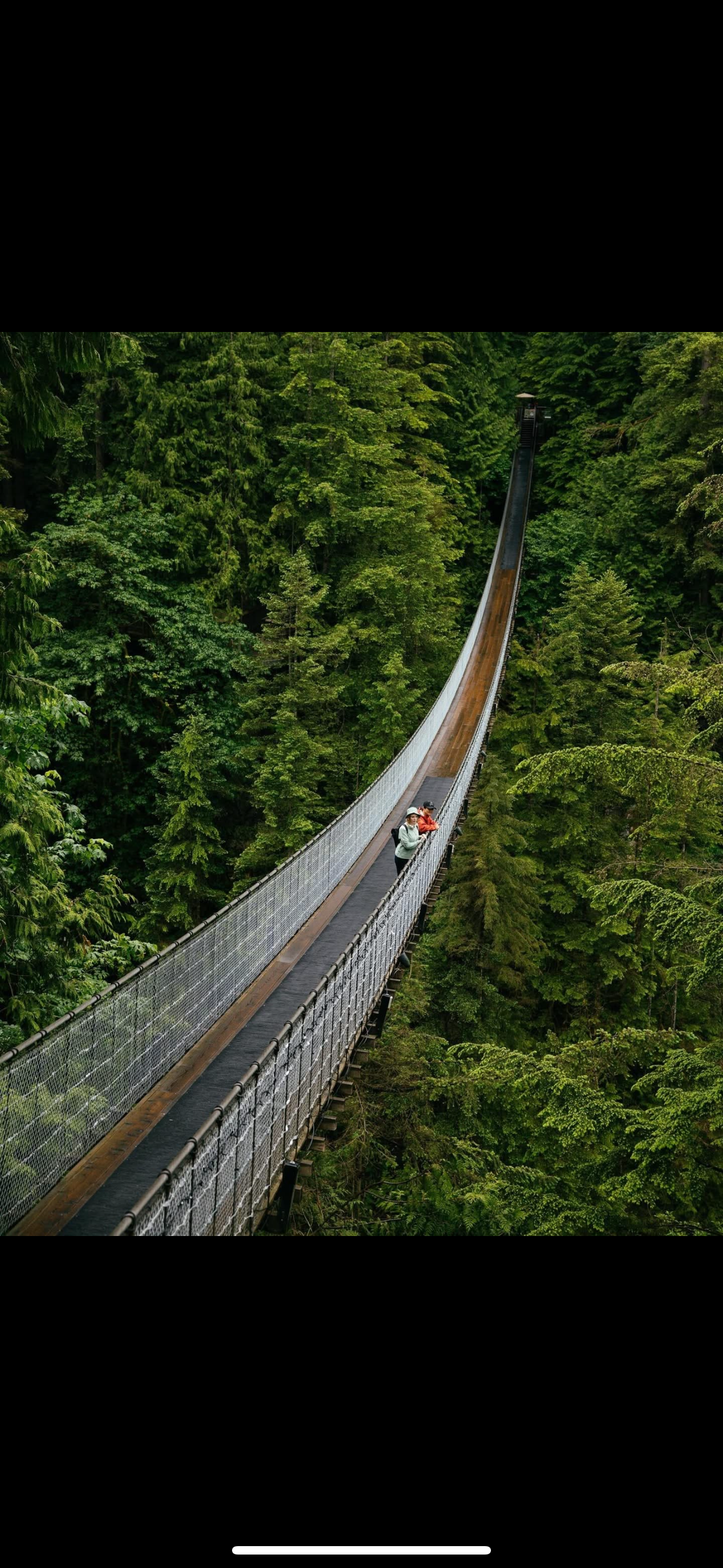 Private Vancouver Highlights: Capilano Suspension & Grouse Mountain