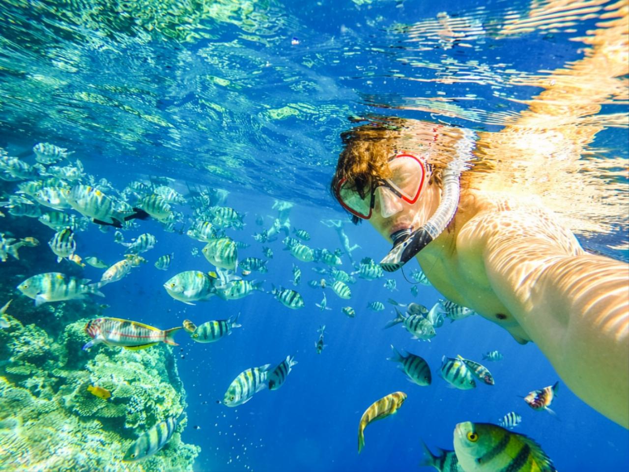 Zanzibar Safari Blue: Snorkeling, Sandbank & Seafood Day Trip