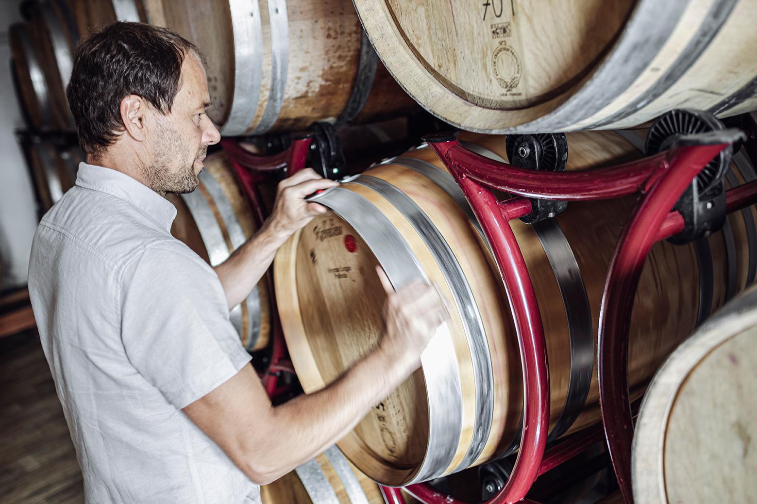 Loacker Wine Tour & Tasting Experience