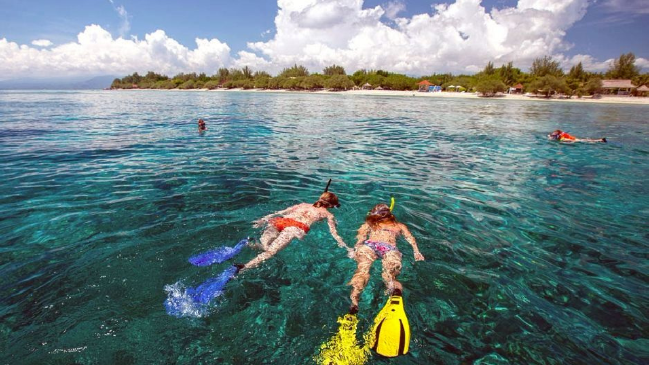 Samui Island Expedition: Viewpoints, Elephants & Pig Island