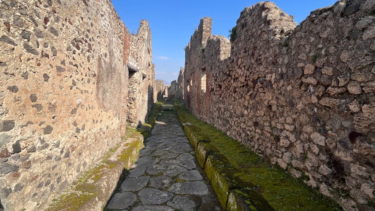 Pompeii Discovery: High-Speed Train, Wine Tasting & Lunch