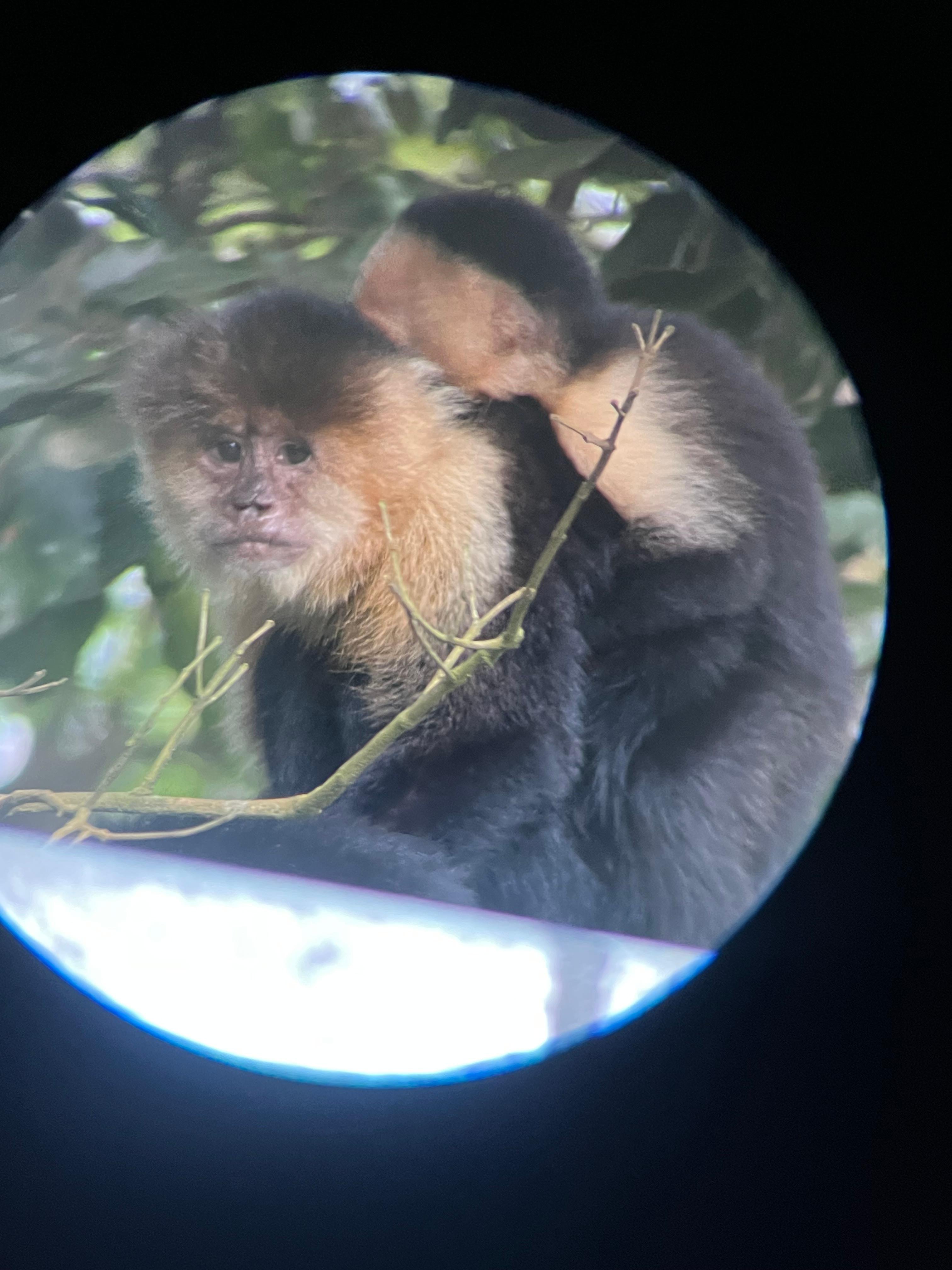 Monteverde Cloud Forest Small-Group Guided Hike