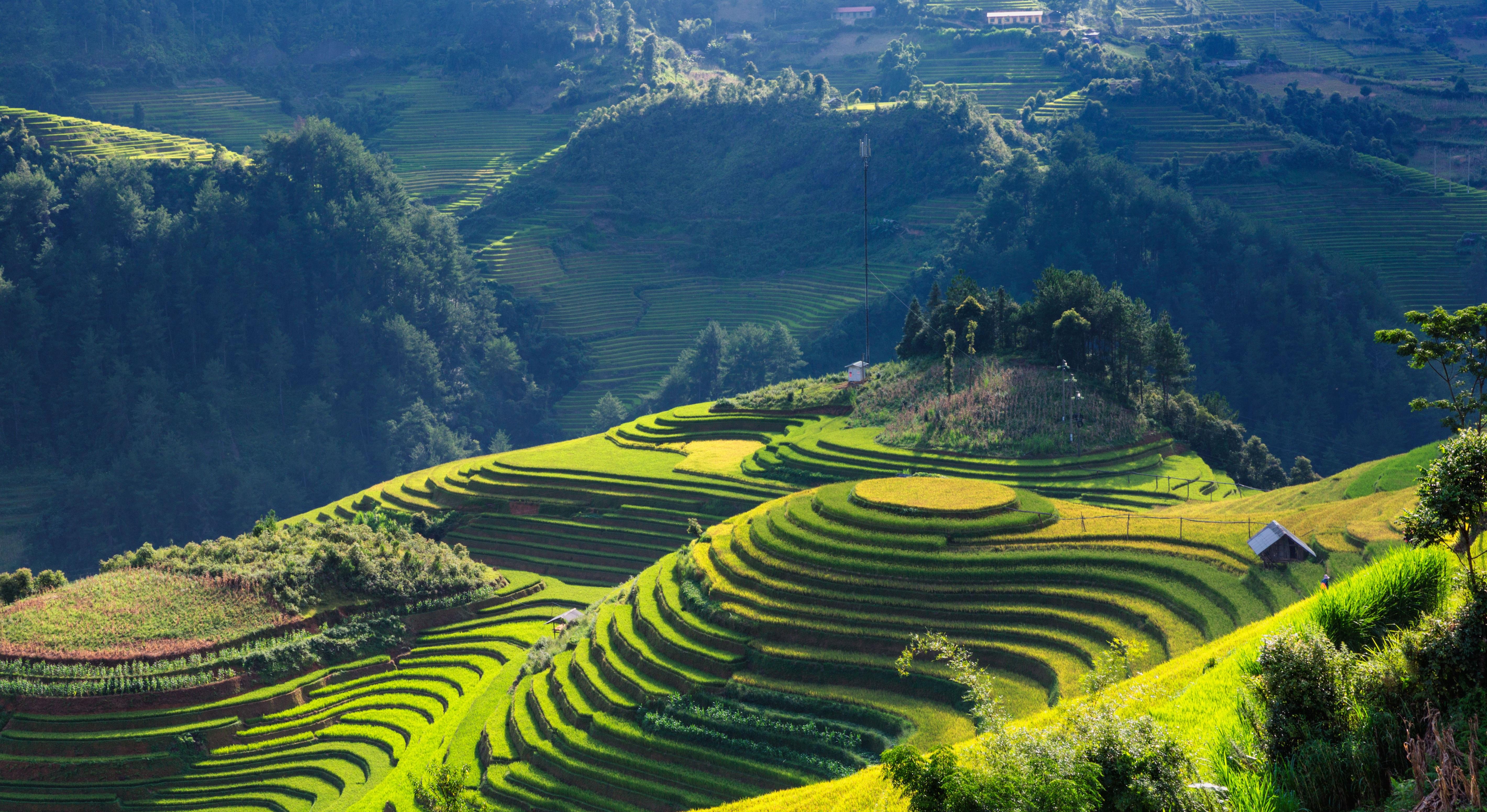 Premium 2-Day Sapa Mountain Trek with DCAR Limousine