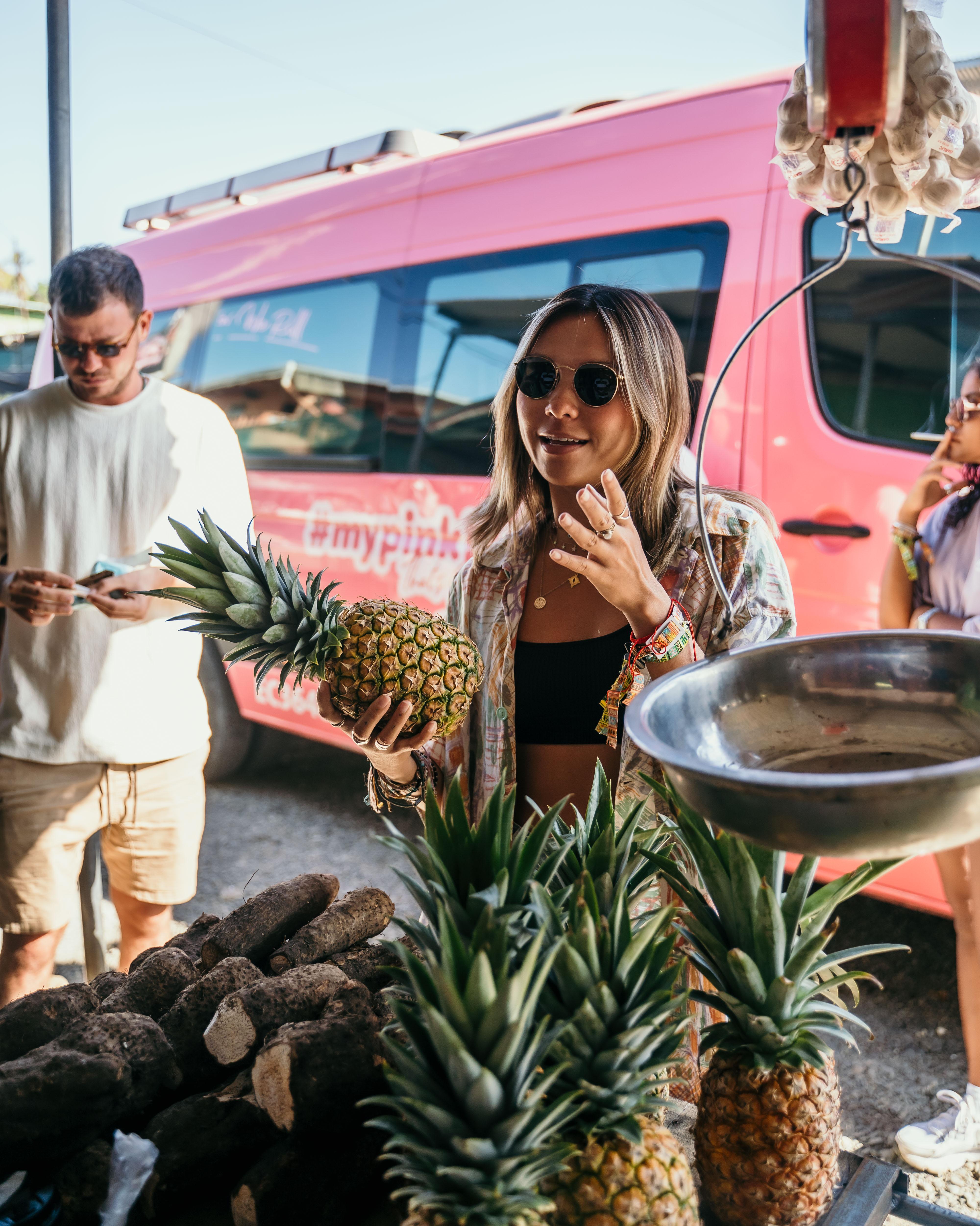 La Fortuna to San José Shuttle – MyPinkBus