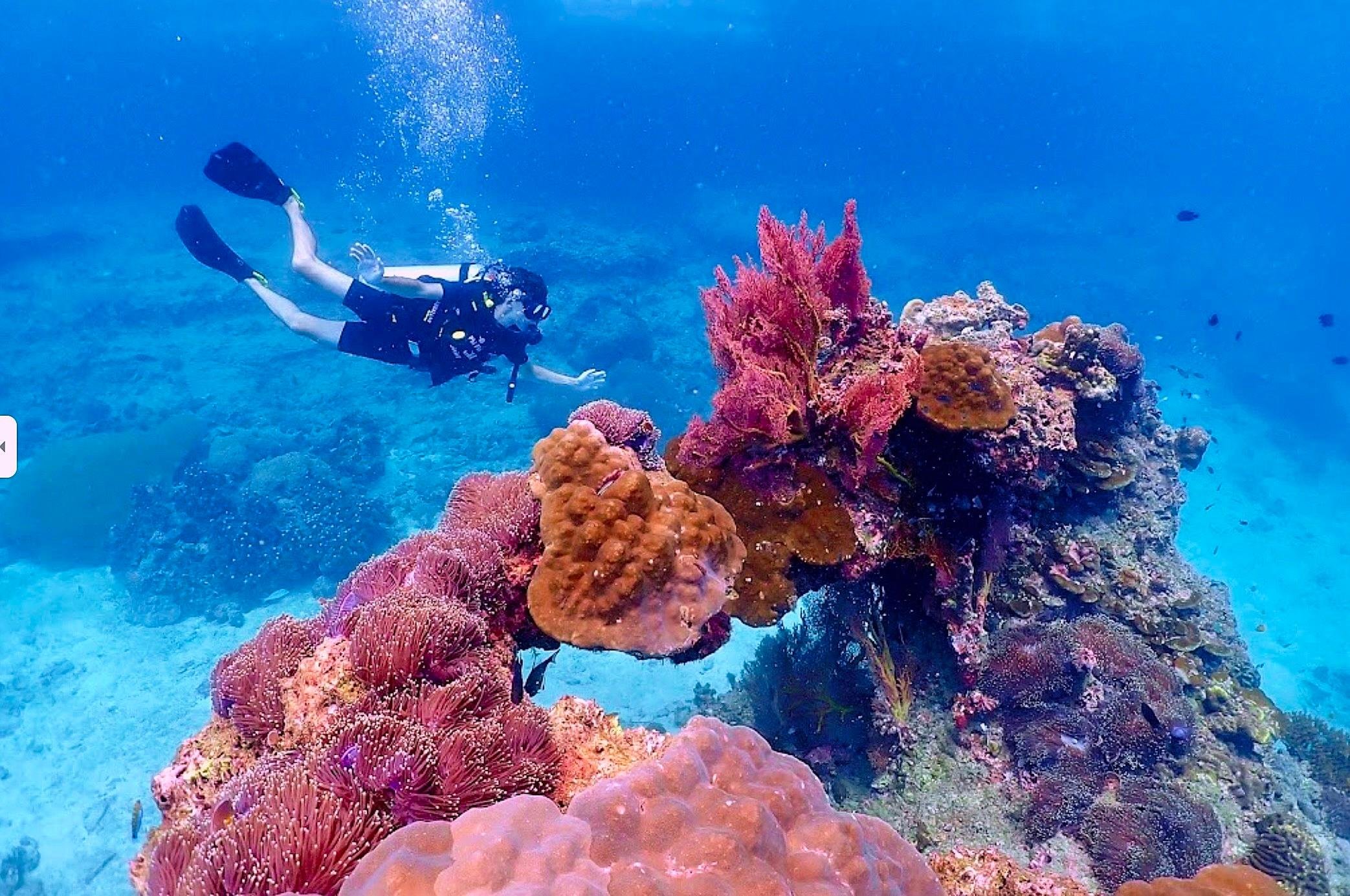 Koh Phi Phi Certified Diver Fun Dive Experience