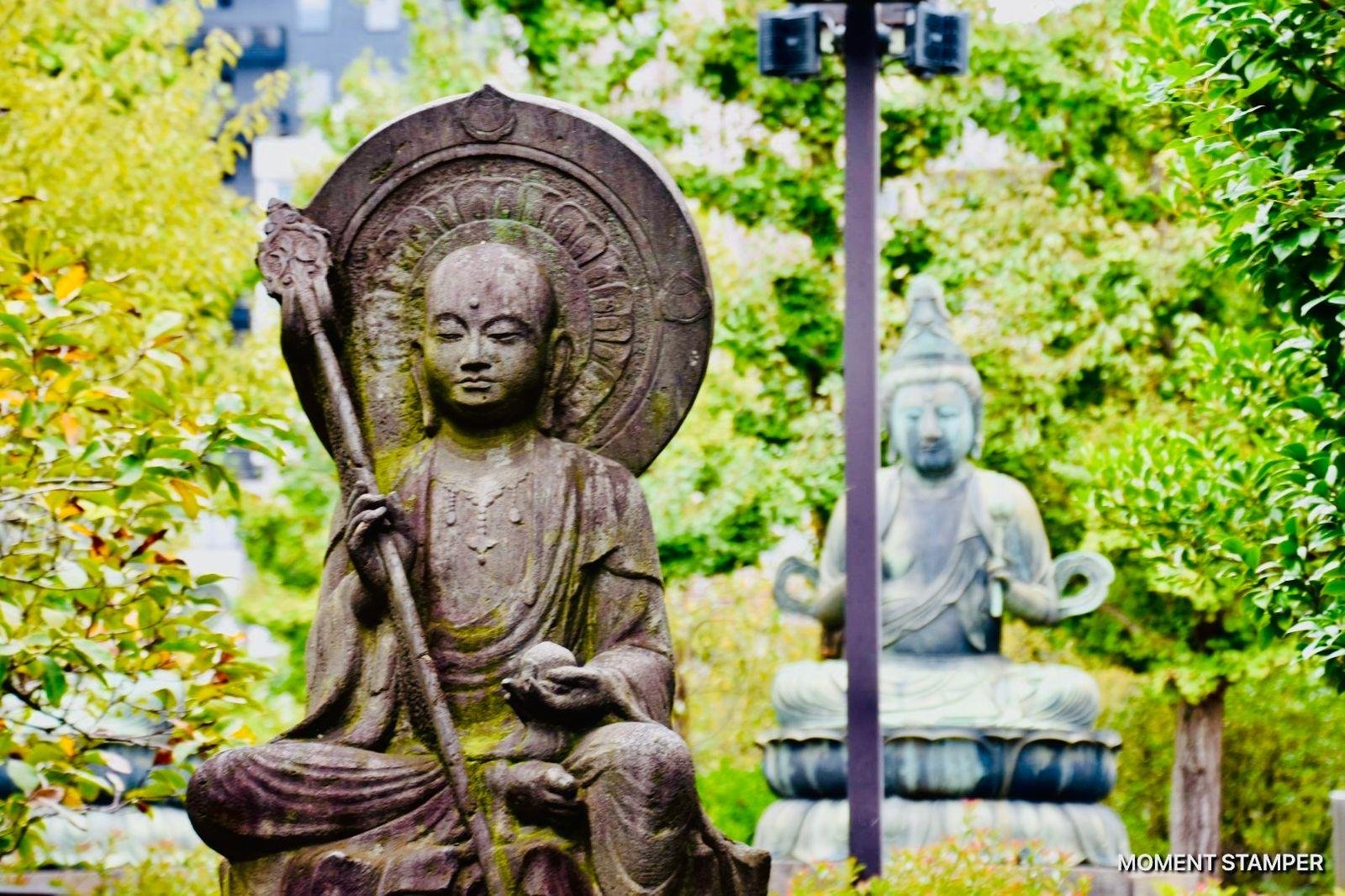 Tokyo Private Car Tour with Hotel Pickup & Drop-off