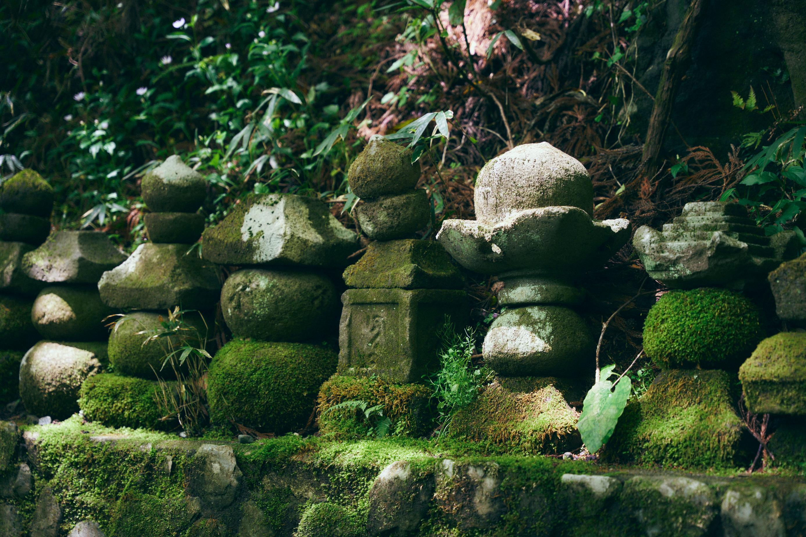 From Tokyo: Private Tour to Fuji/Hakone - Onsen, Art, Nature — Japanese onsen experience photo 17