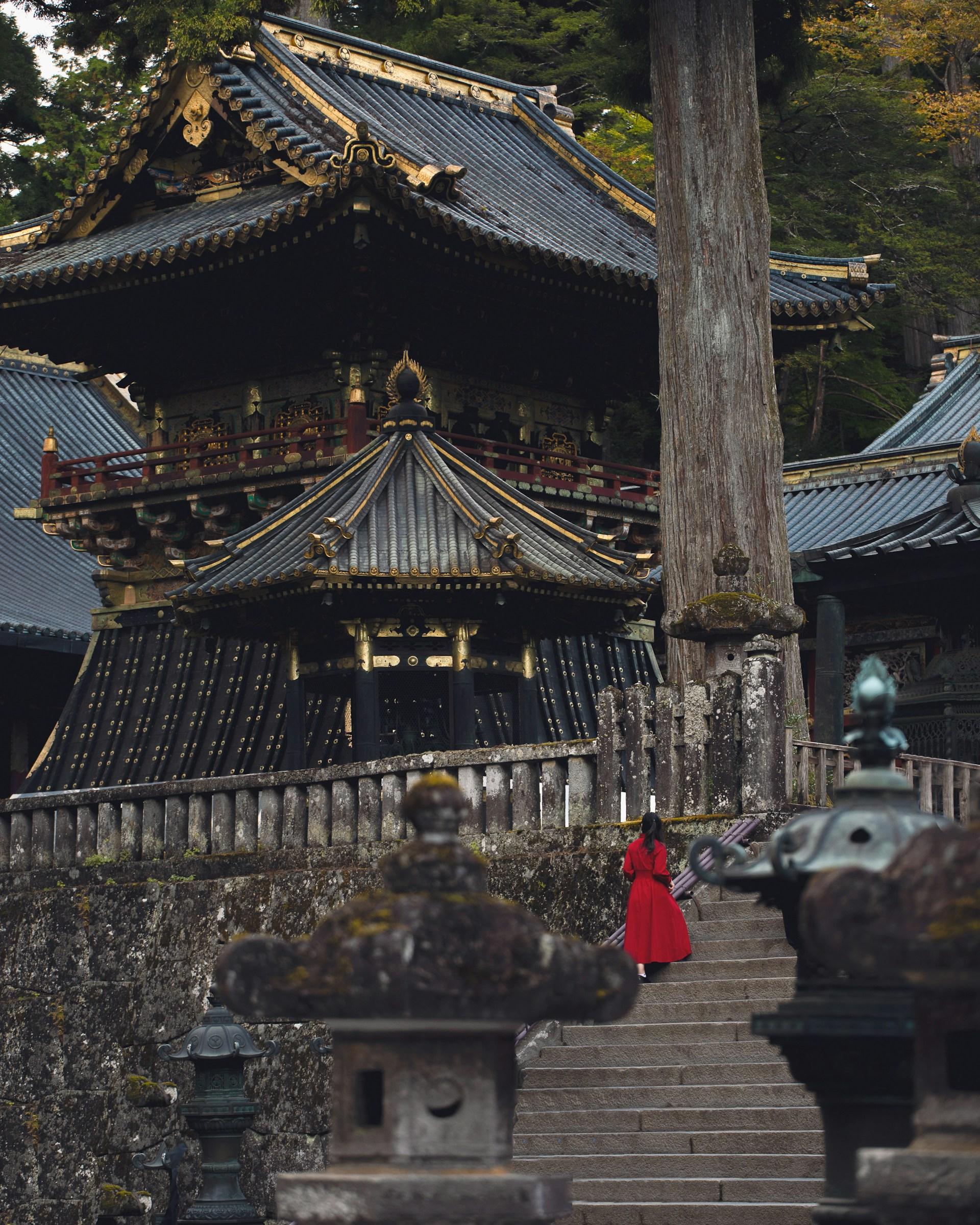 Tokyo to Nikko: Private Luxury Day Trip to UNESCO World Heritage Sites