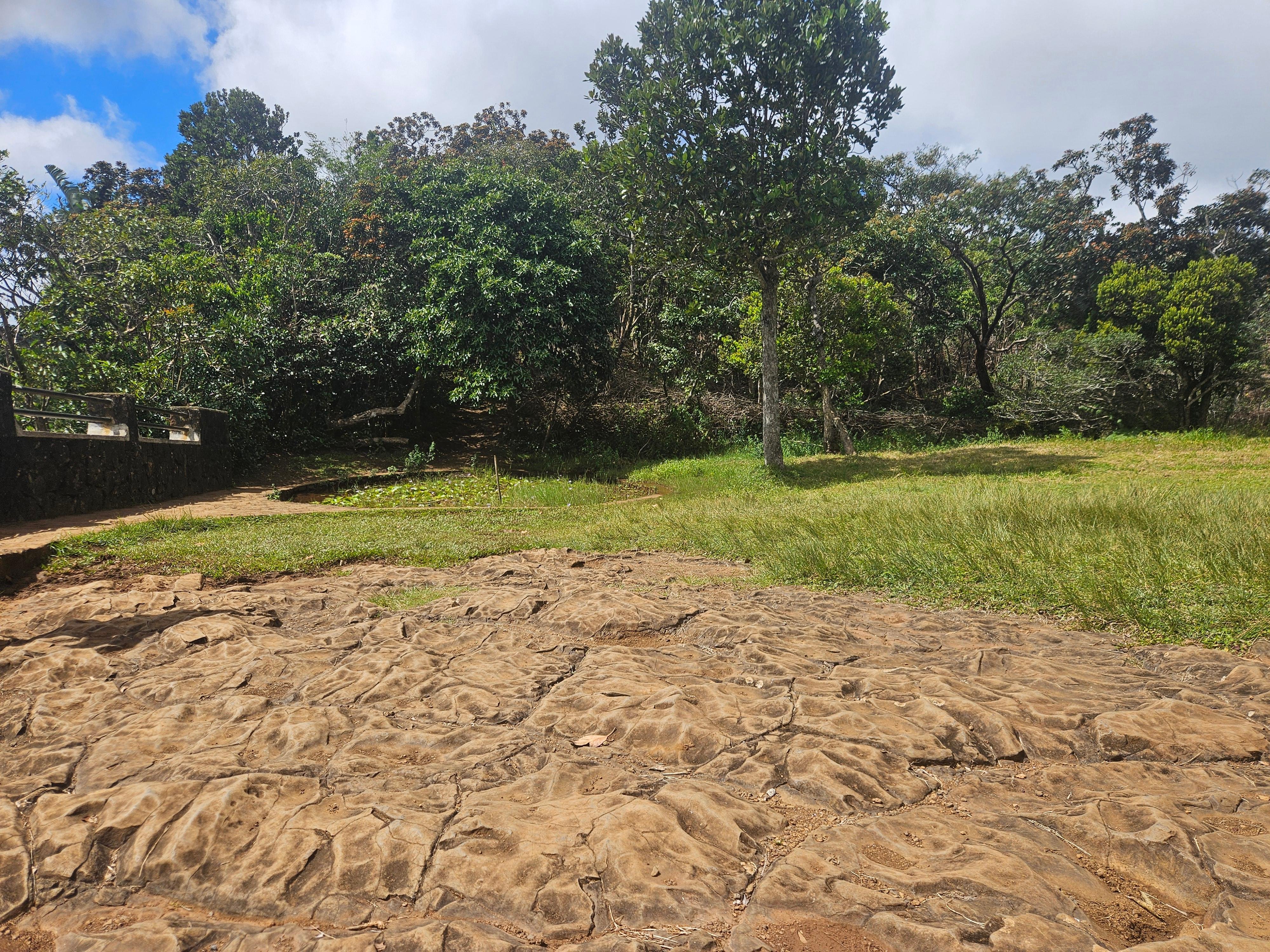 Private Southwest Mauritius: Chamarel & Nature Highlights