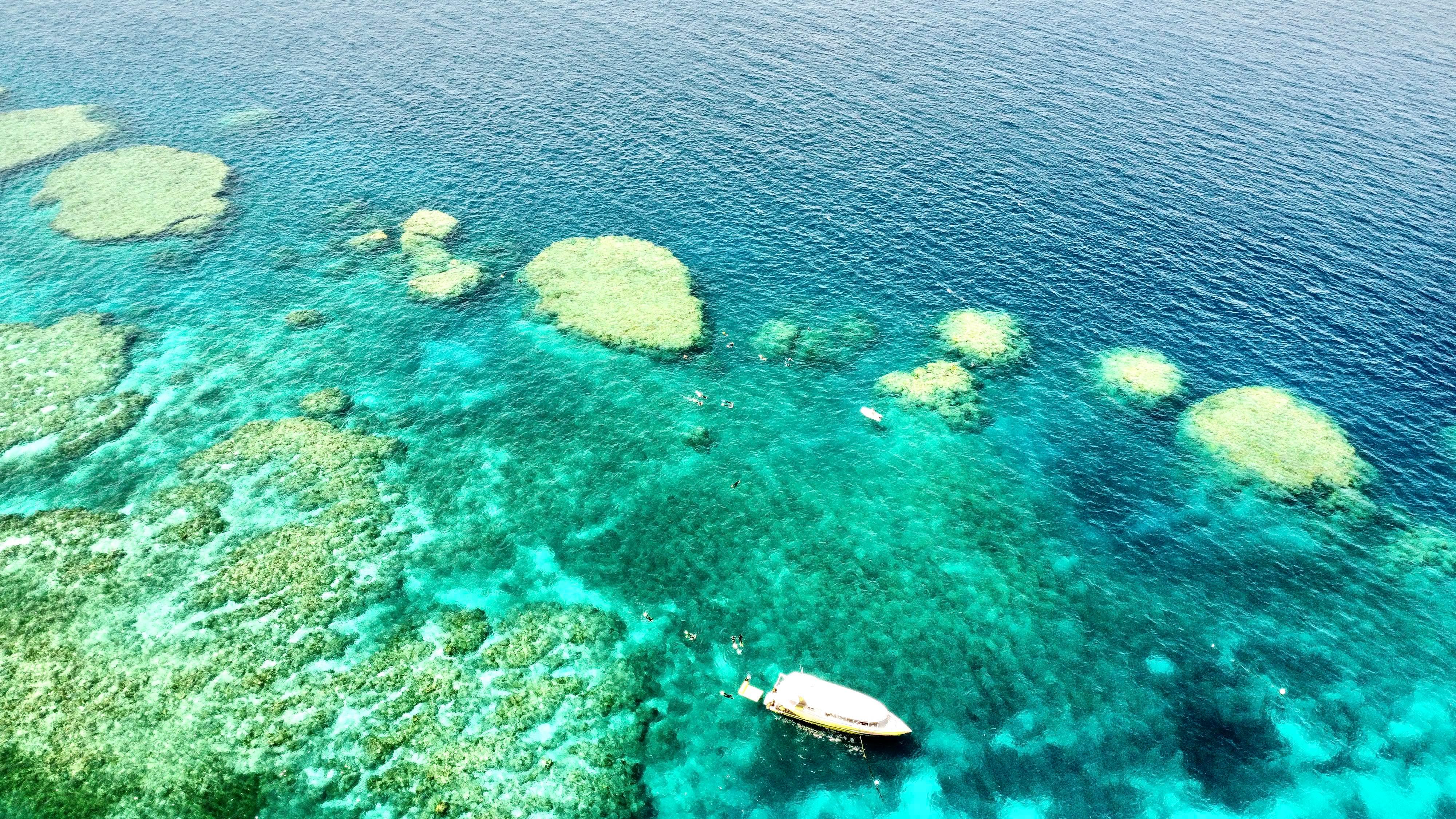 Airlie Beach: Great Barrier Reef & Whitehaven Beach Speedboat Day Tour