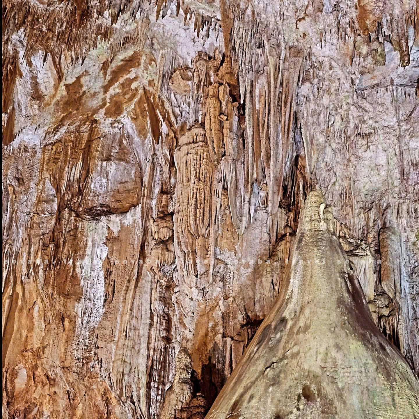 Phong Nha Cave boat tour Son River dragon boat and Paradise Cave karst — image 33
